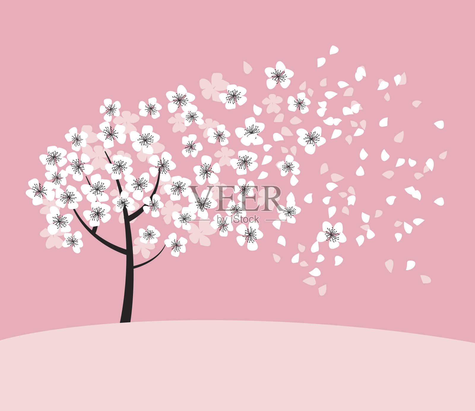 白色樱花在粉红色玫瑰色的背景上开花。优雅天真的春季花卉设计元素，适用于请柬、卡片、海报、问候、婚礼等。设计元素图片