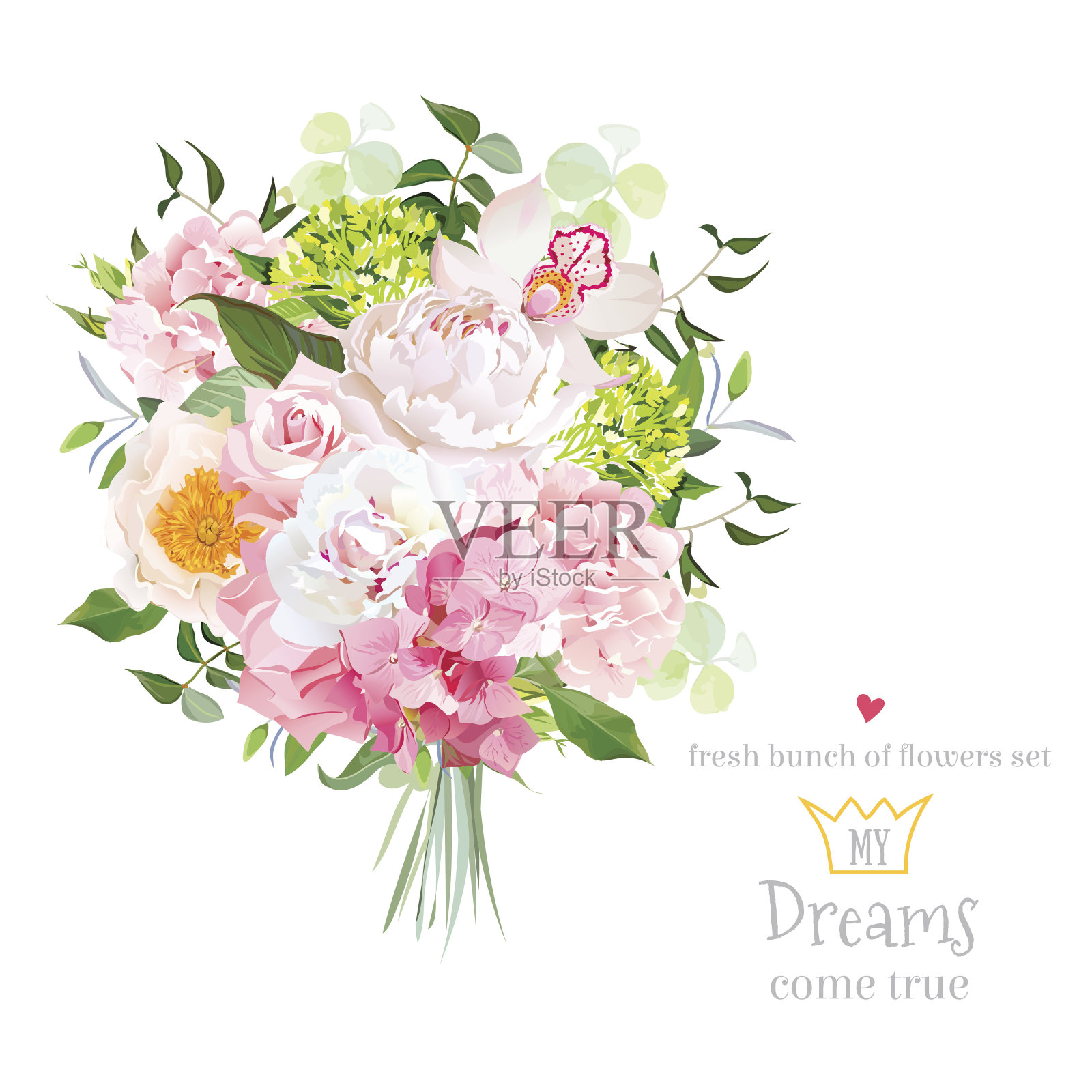 美丽的向量花束牡丹，玫瑰，康乃馨，绣球，插画图片素材
