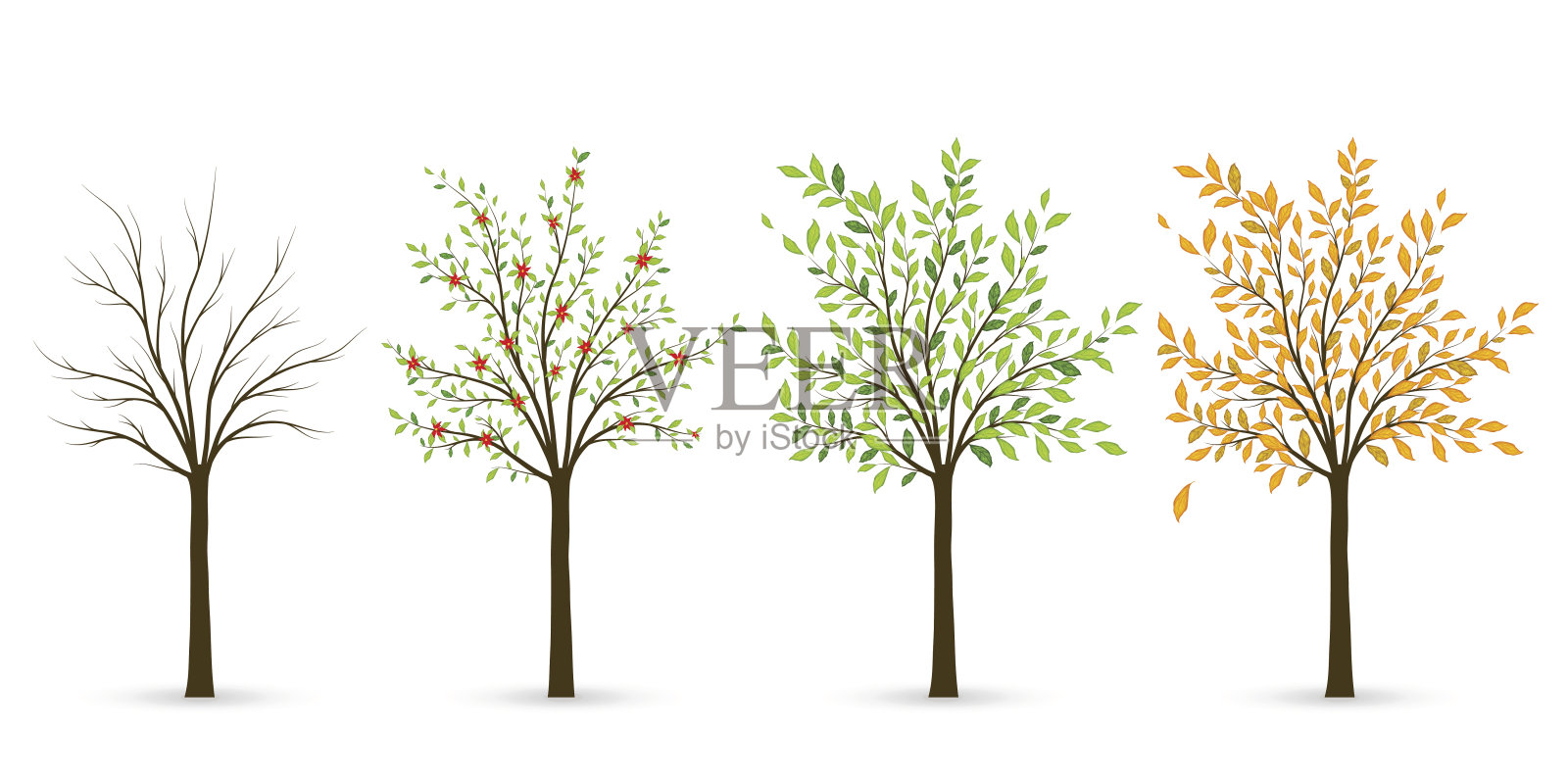 树分四季——冬、春、夏、秋。插画图片素材