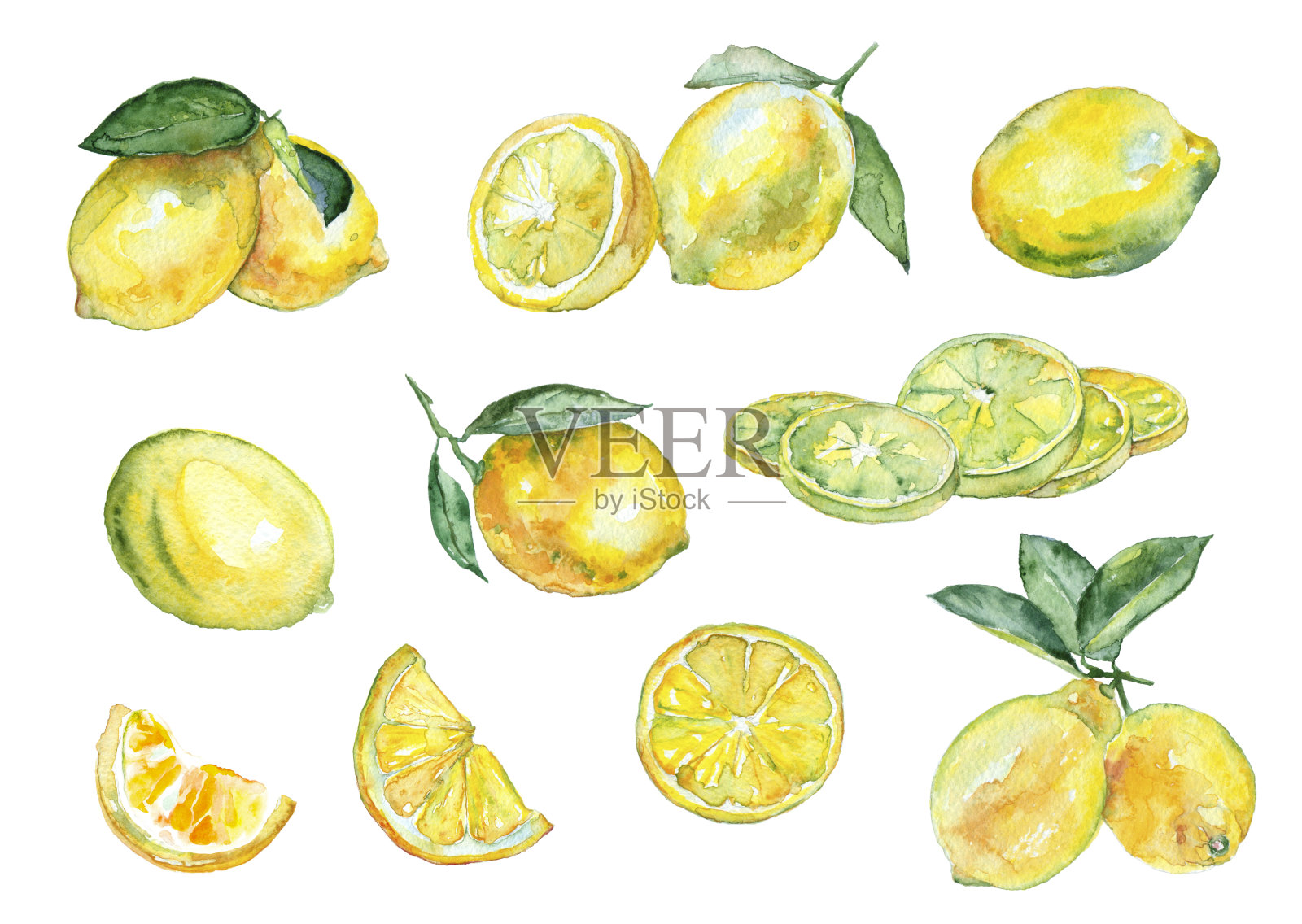 水彩柠檬复古风格。插画图片素材