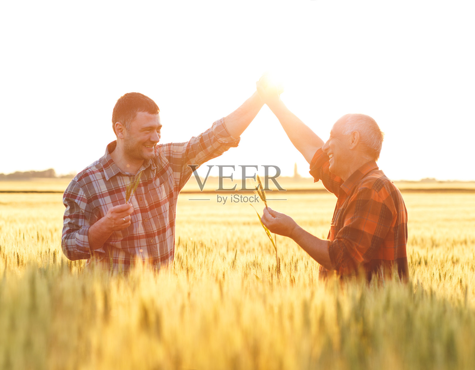 两个农民站在麦田里照片摄影图片