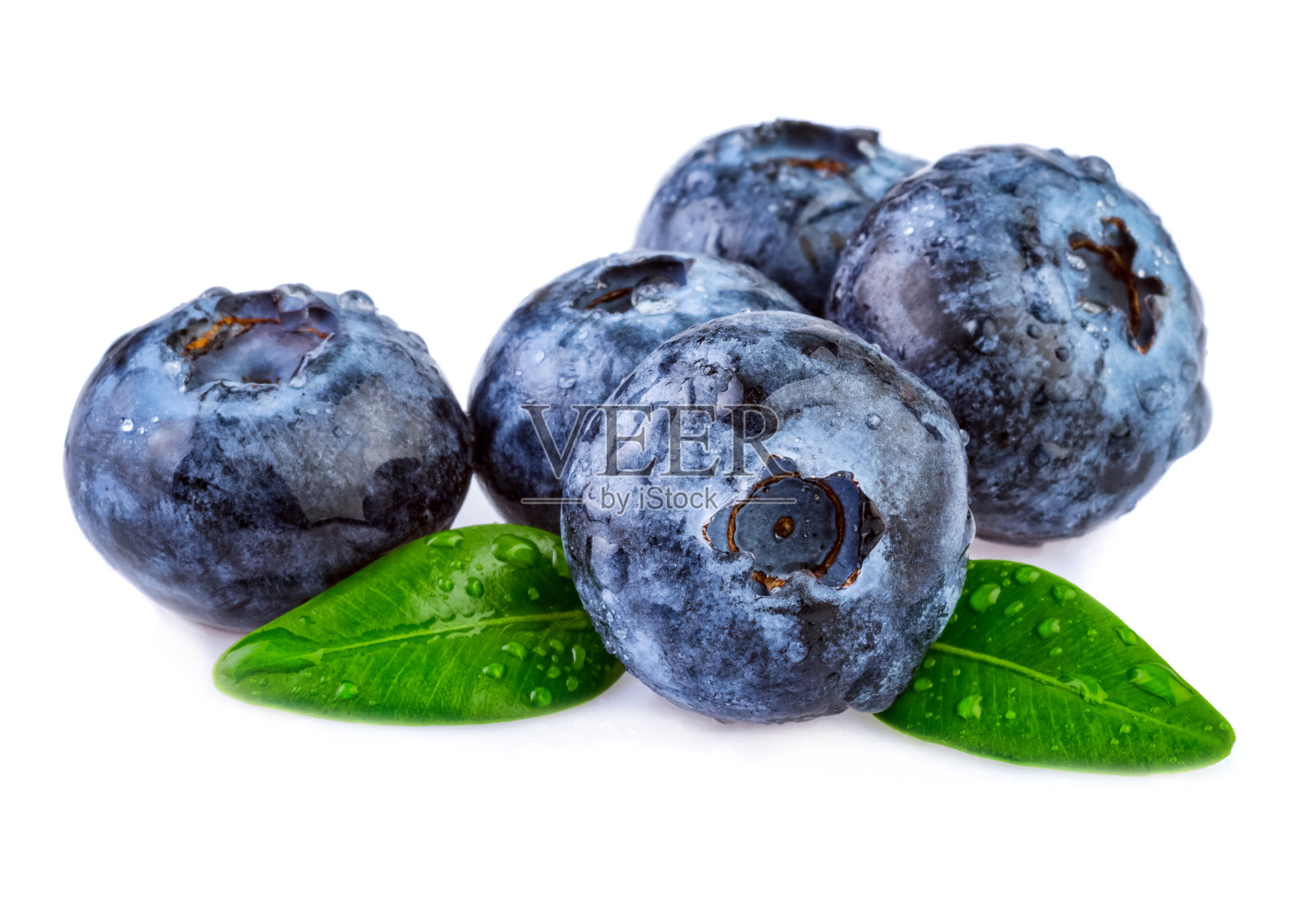 新鲜的湿蓝莓孤立在白色背景照片摄影图片