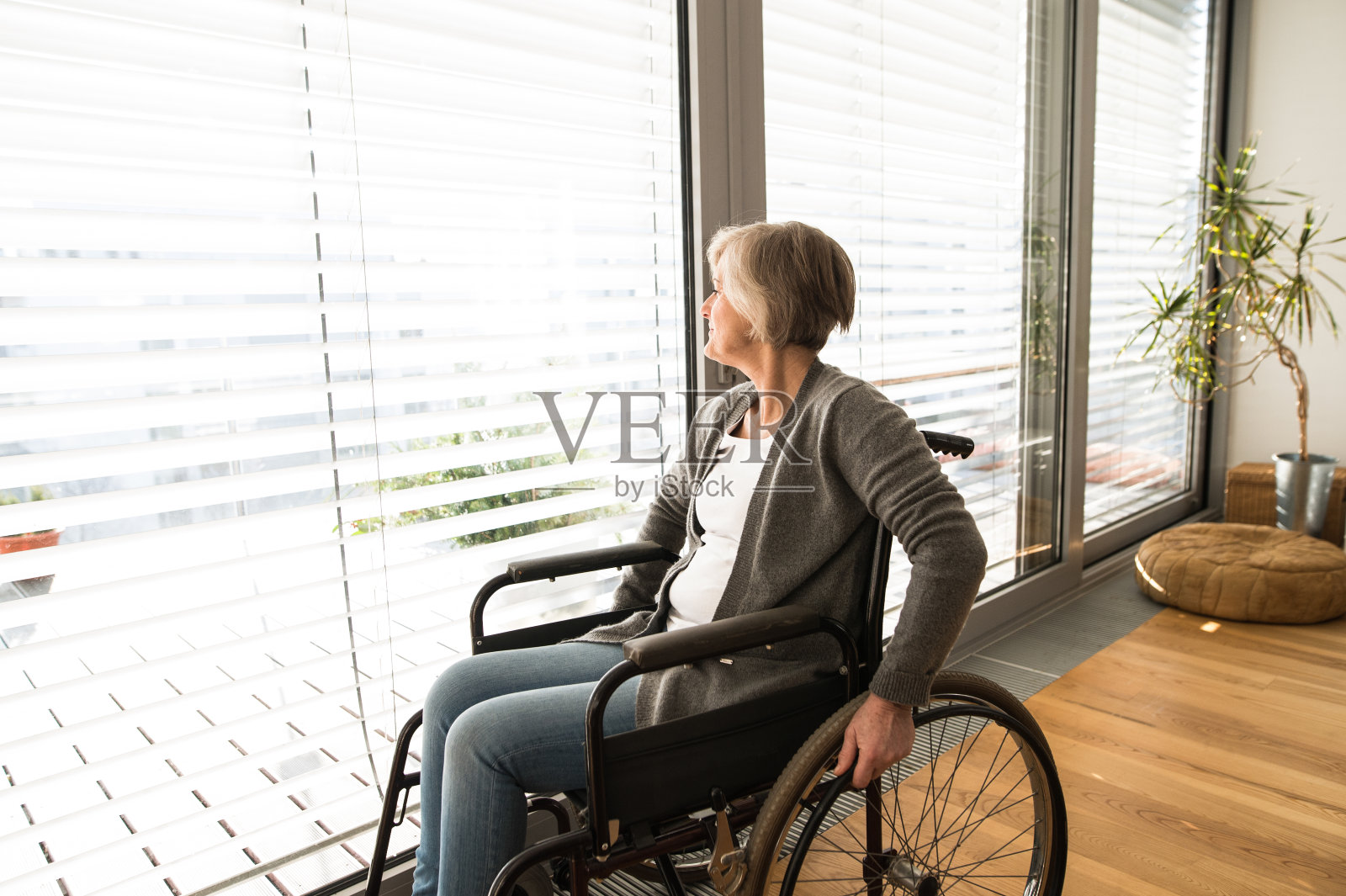 残疾老年妇女坐在轮椅上，在家里的客厅里。照片摄影图片
