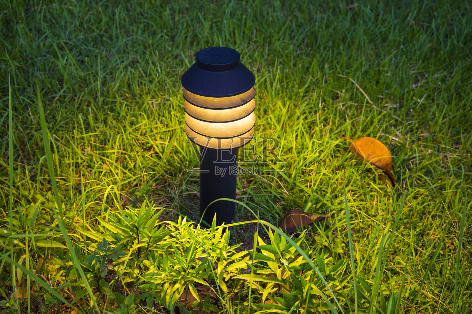 小花园灯围绕草地照片摄影图片