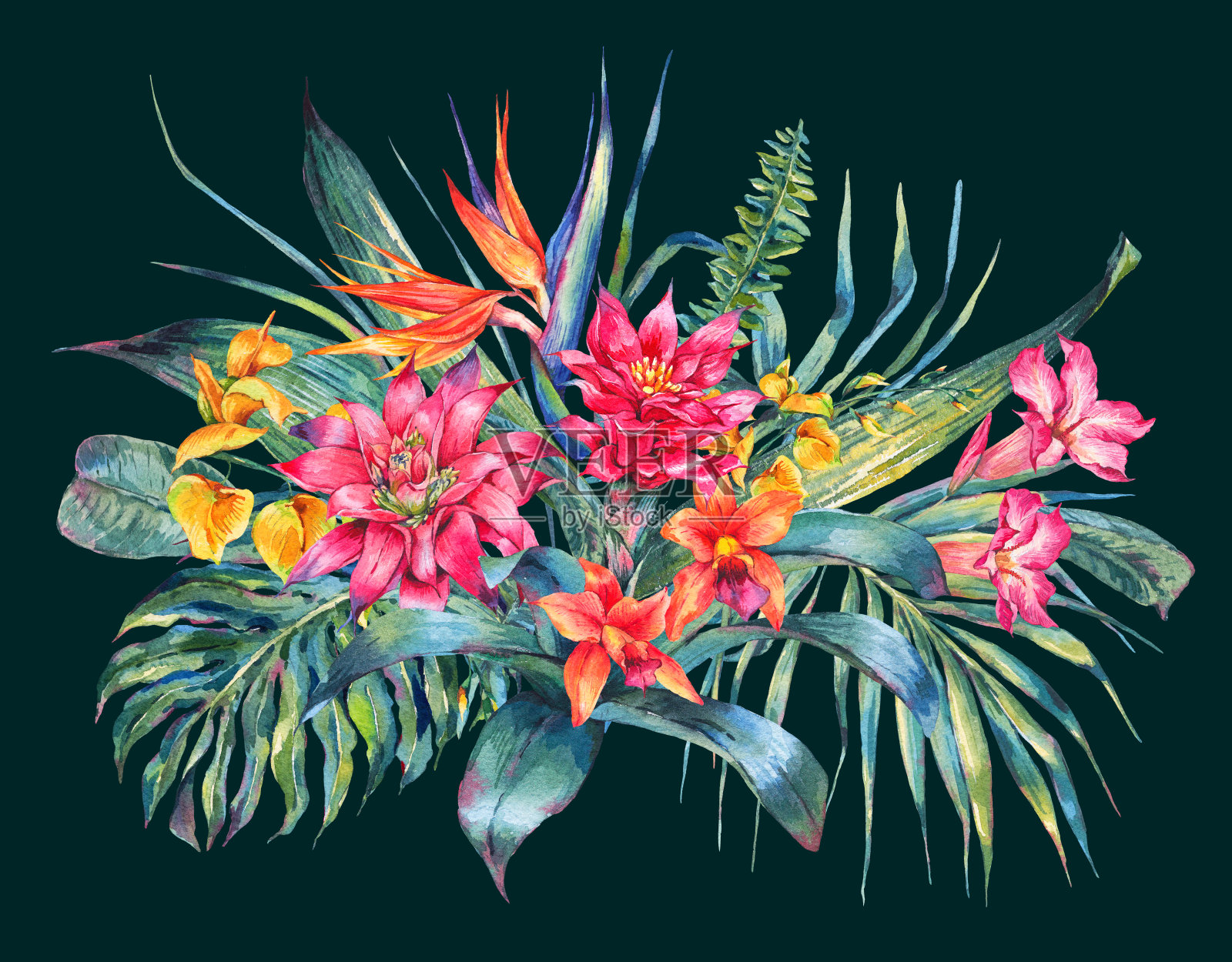 水彩复古热带花卉贺卡插画图片素材