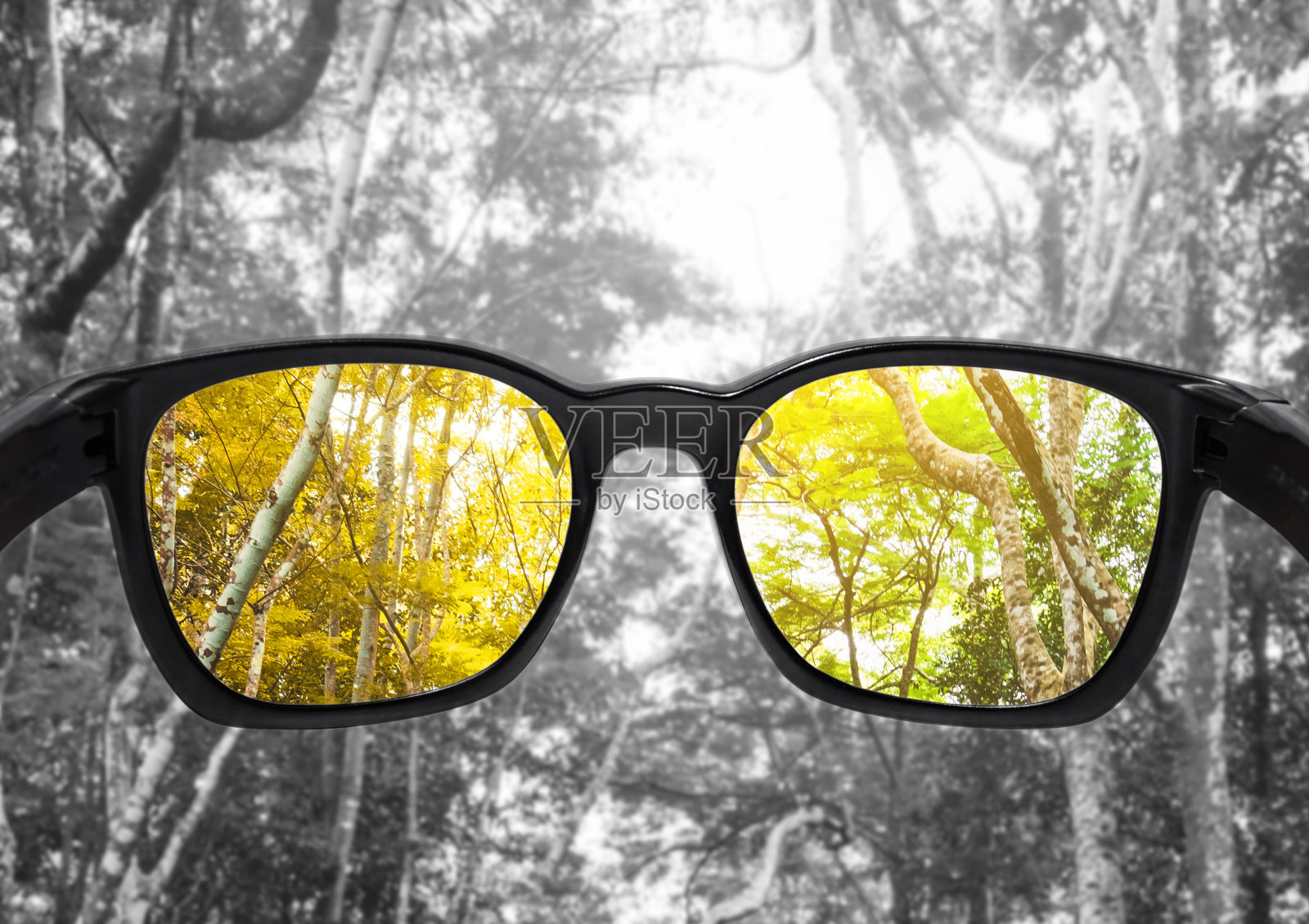 配森林眼镜，选对焦镜头，色盲眼镜照片摄影图片