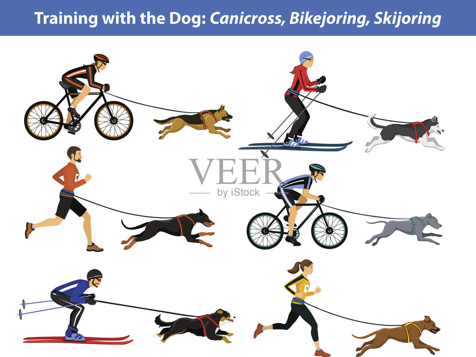 cancross，骑自行车，滑雪插画图片素材