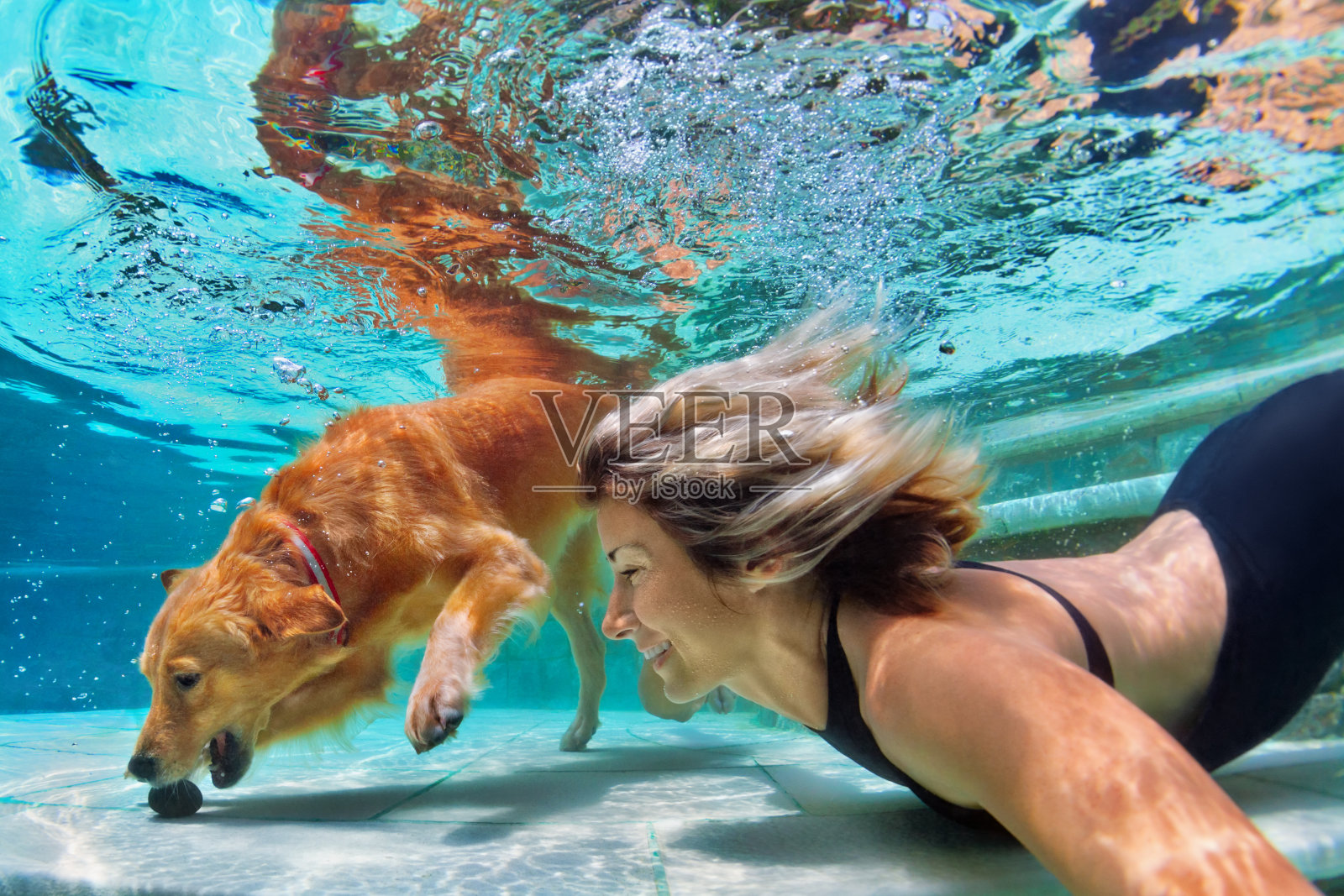 有趣的肖像微笑的女人和狗在游泳池照片摄影图片