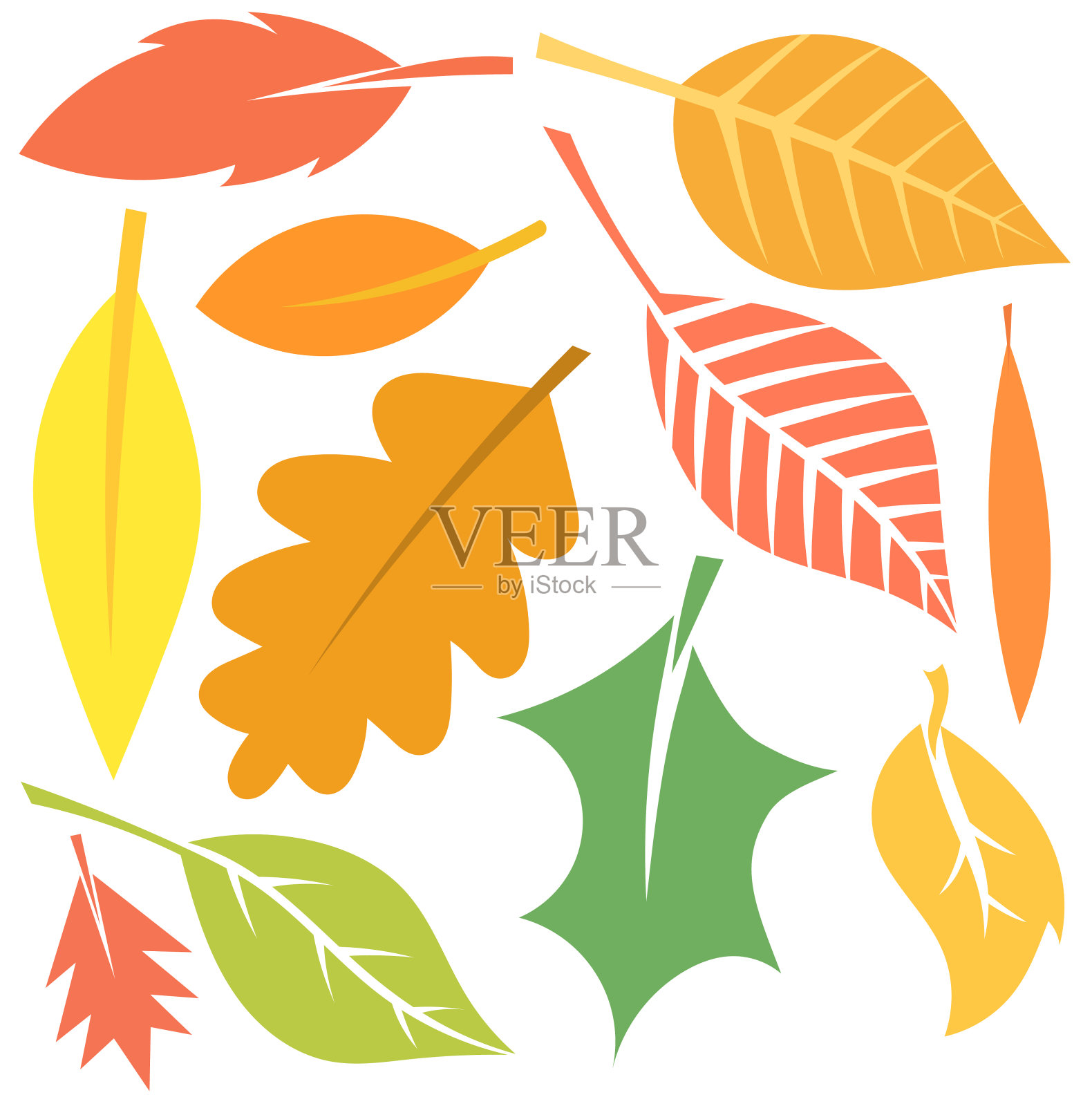 秋叶向量插画图片素材