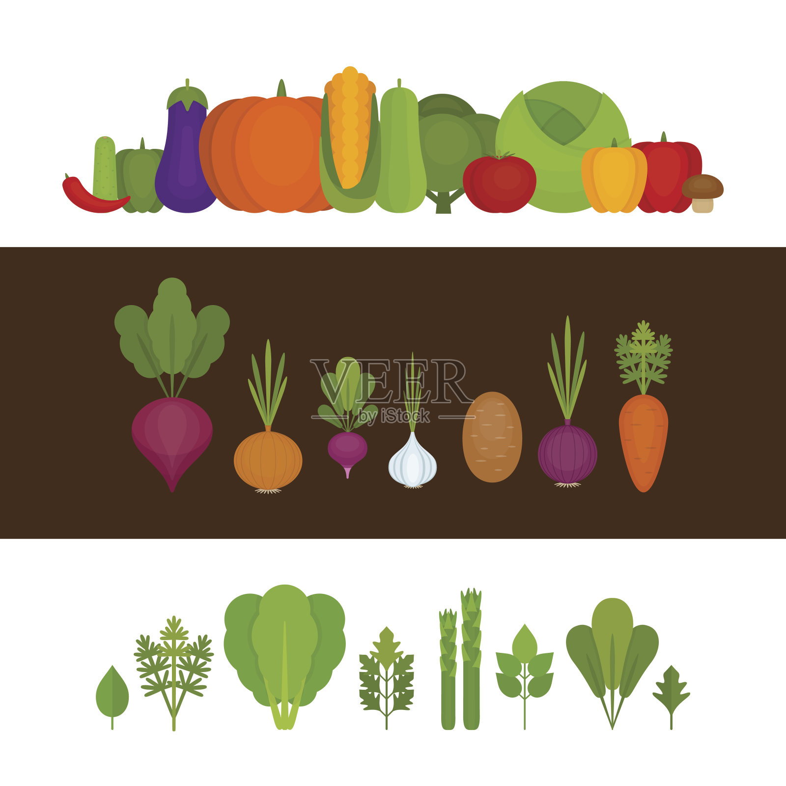 蔬菜集合。有机健康食品。插画图片素材