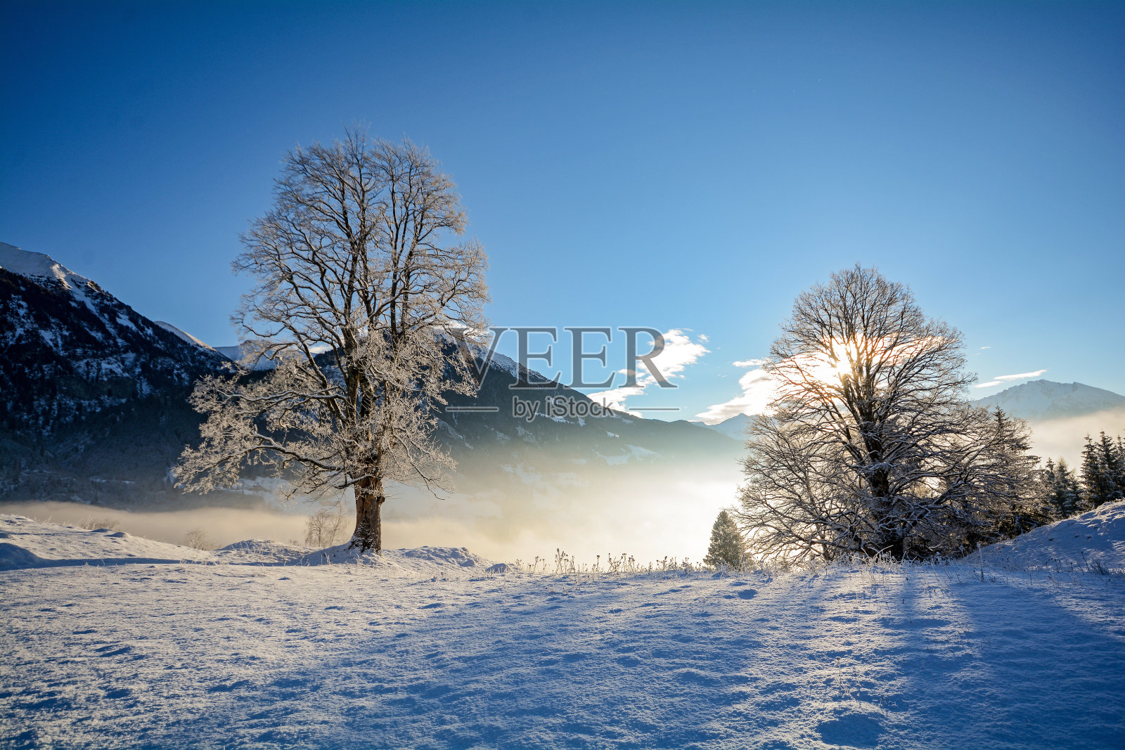 梦幻般的冬季风景在奥地利阿尔卑斯山附近的萨尔茨堡，奥地利欧洲照片摄影图片