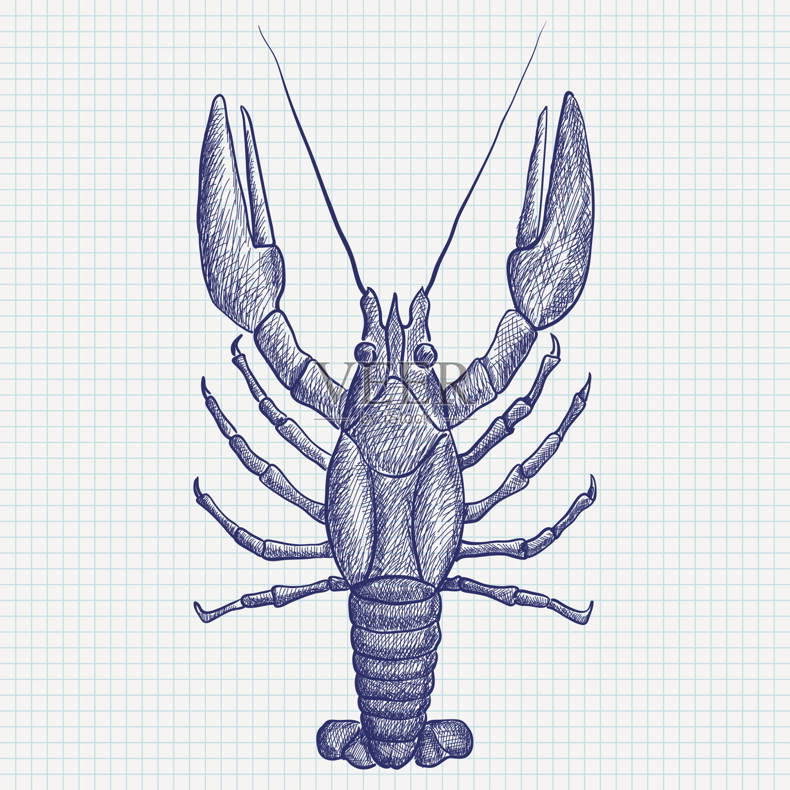 龙虾。手绘草图设计元素图片