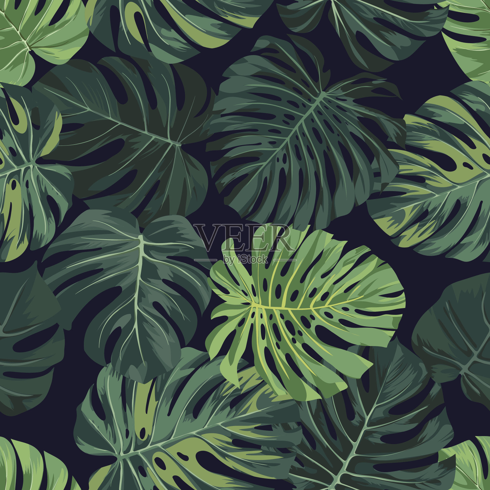 矢量无缝模式与绿色怪物棕榈叶在黑暗的背景。夏季热带面料设计插画图片素材