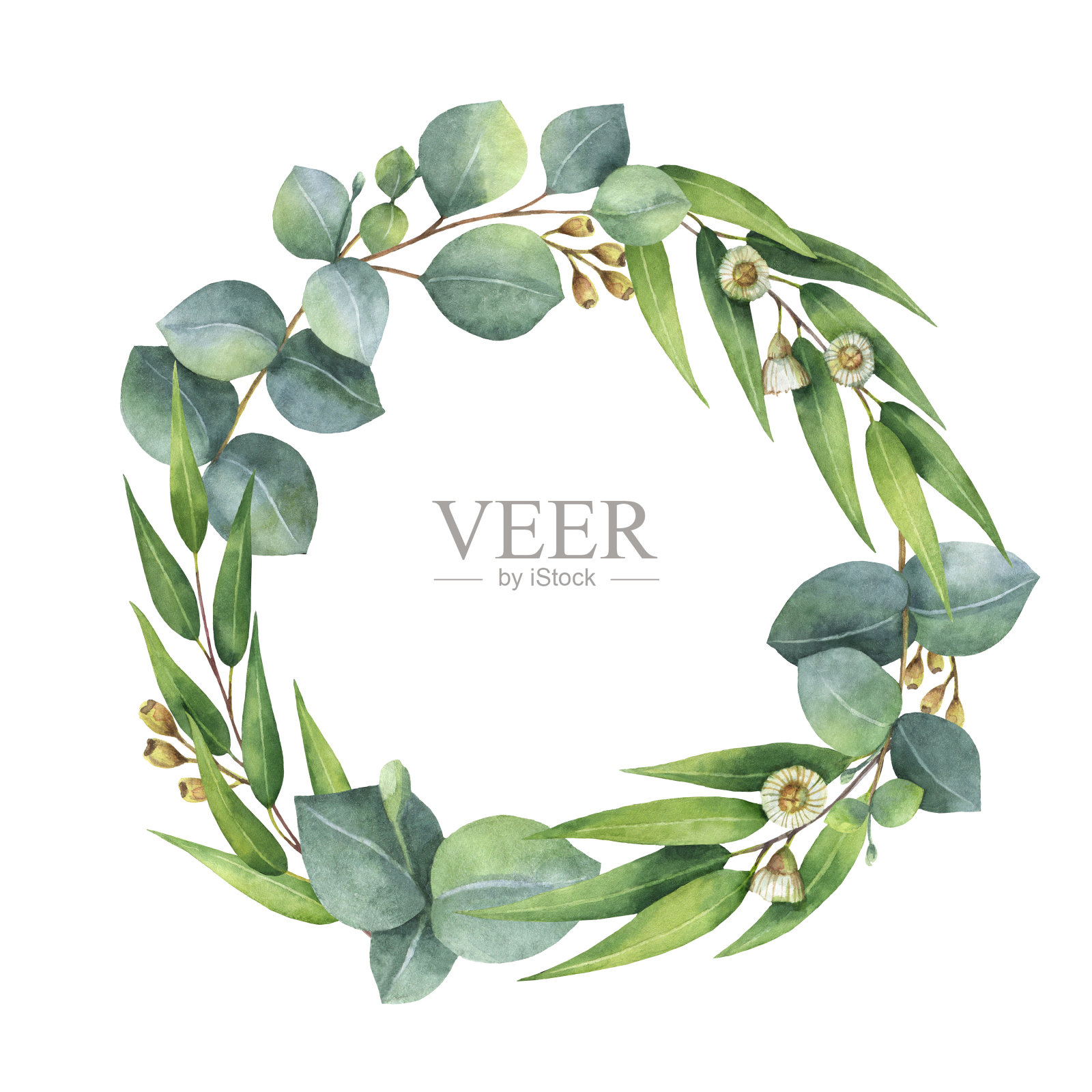 水彩圆形花环与桉树叶和树枝。插画图片素材