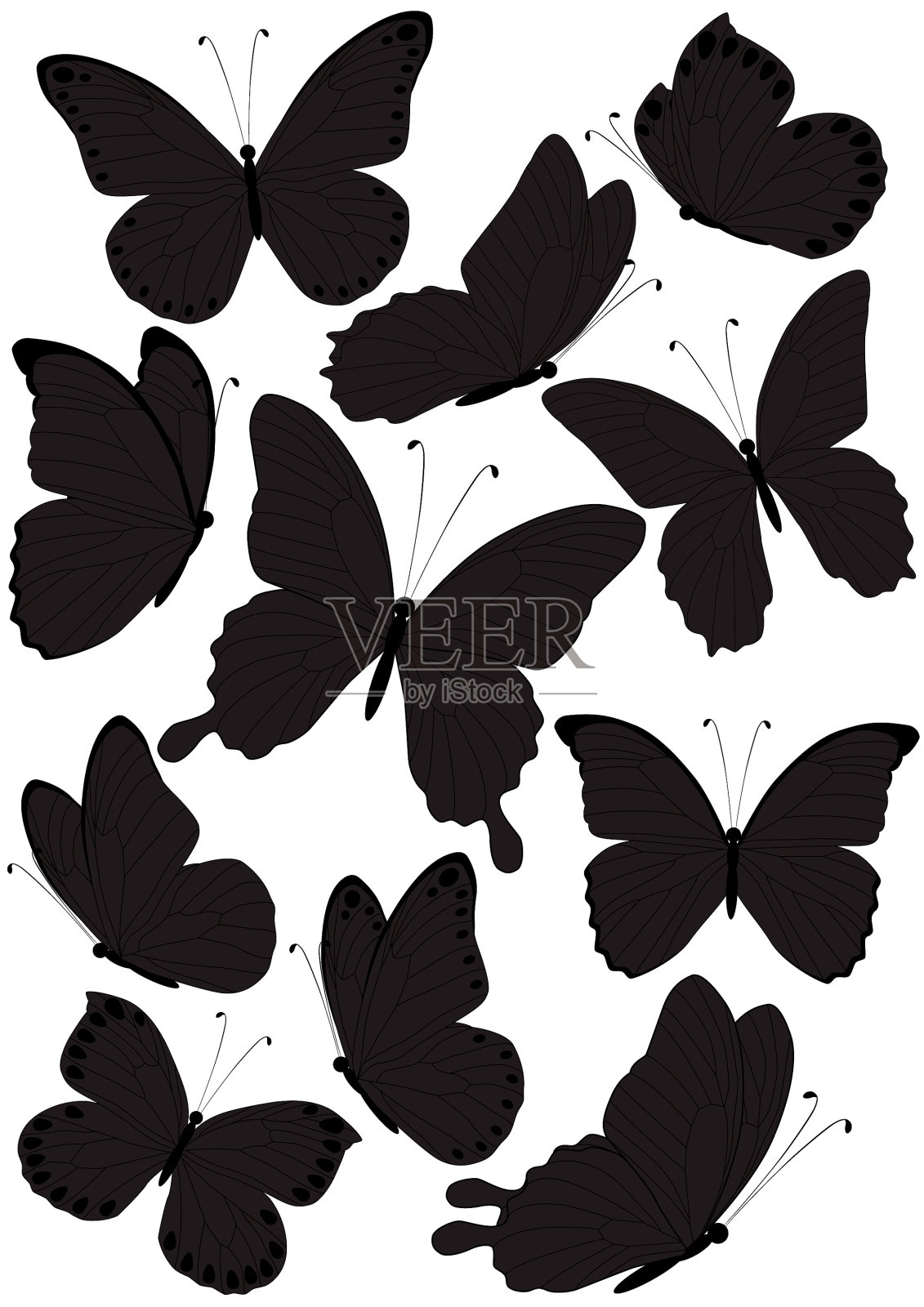 轮廓的蝴蝶插画图片素材