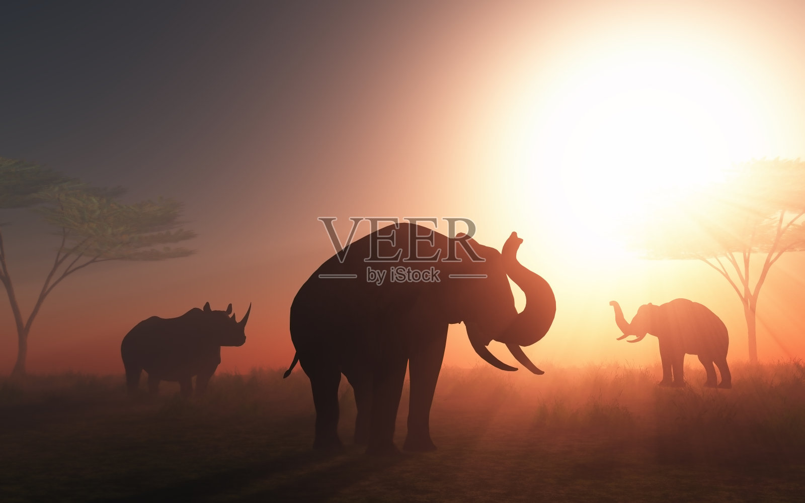 3D野生动物在日落插画图片素材