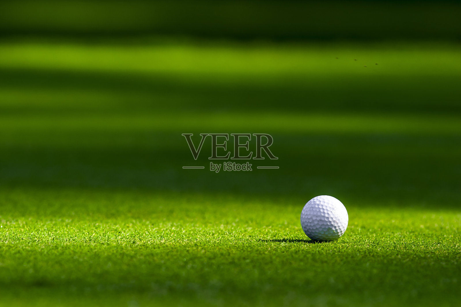 草地上的高尔夫球照片摄影图片