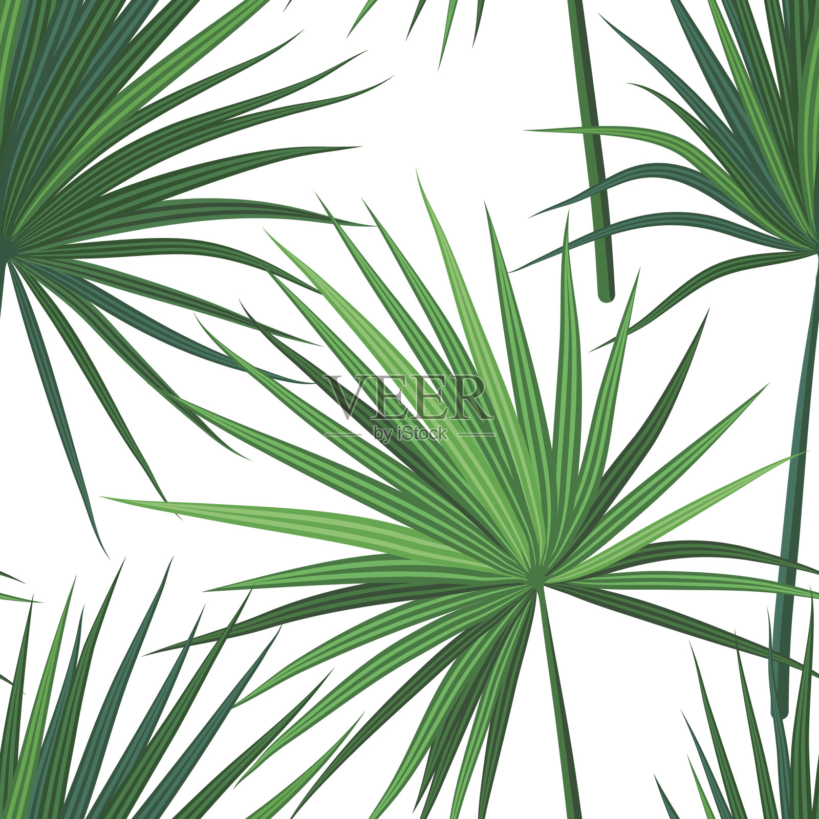 热带丛林植物背景。无缝矢量热带模式与绿色的sabal棕榈叶插画图片素材