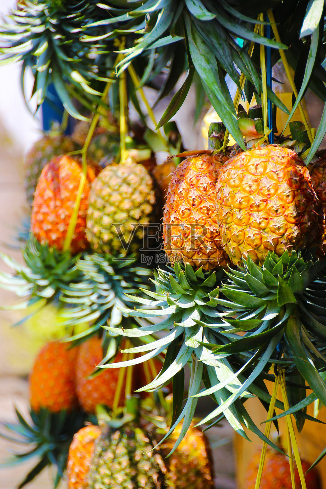 印度尼西亚爪哇的成熟蜂蜜菠萝照片摄影图片