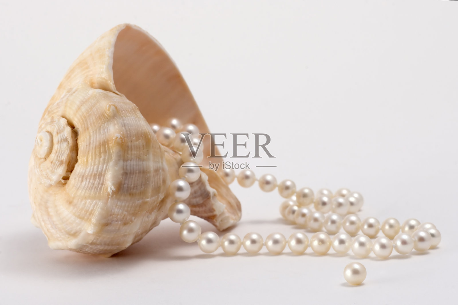 珍珠和贝壳照片摄影图片