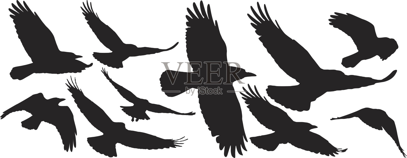 一组黑色孤立的轮廓与乌鸦设计元素图片