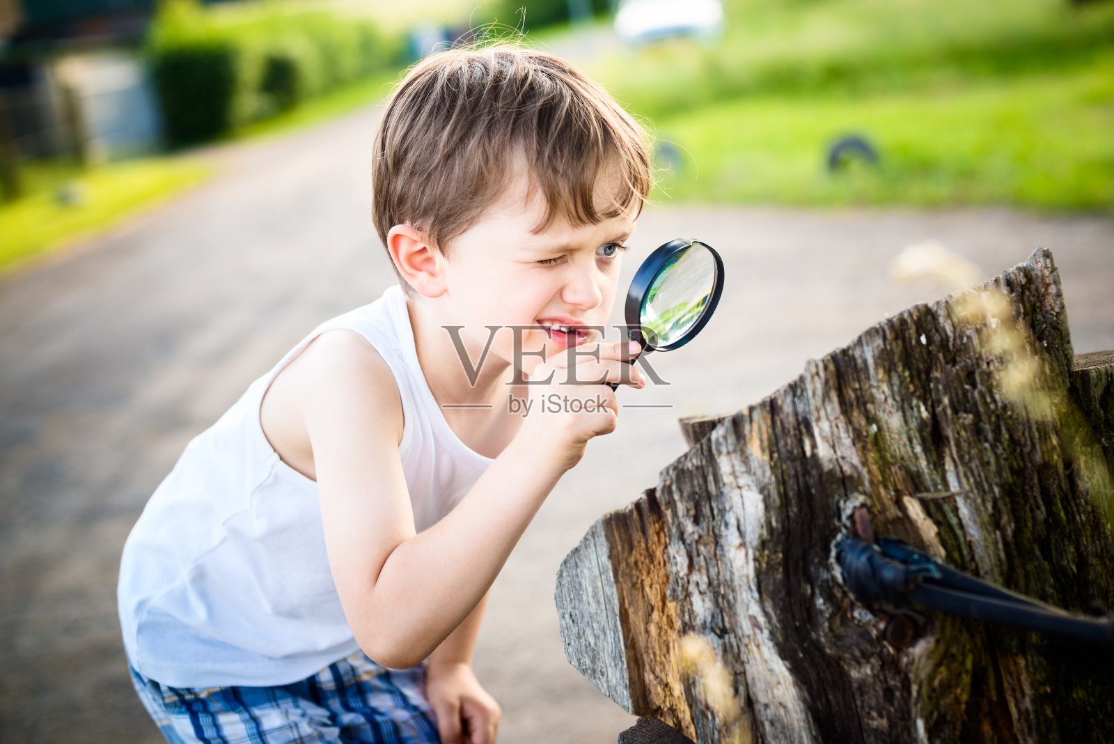 男孩用放大镜看树干照片摄影图片