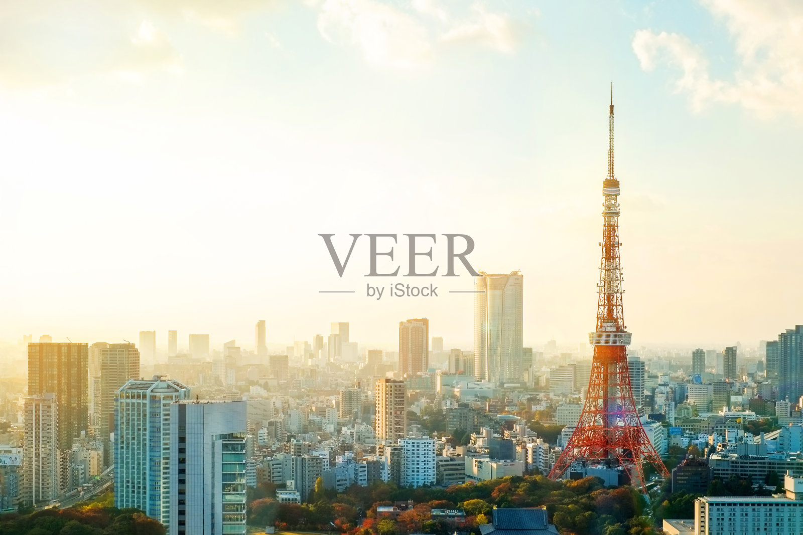 房地产和企业建筑的经营理念——东京塔，日本的地标，全景现代城市鸟瞰，壮观的日出和早晨的天空照片摄影图片