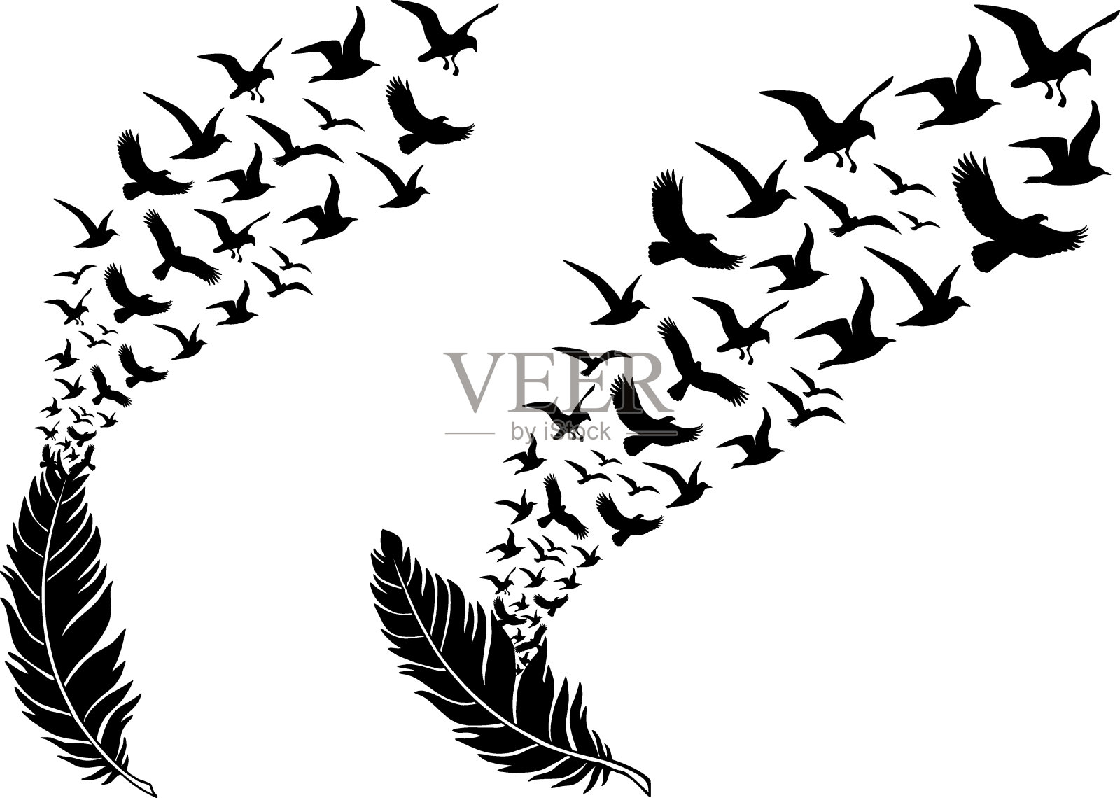 羽毛与飞翔的鸟，矢量插画图片素材
