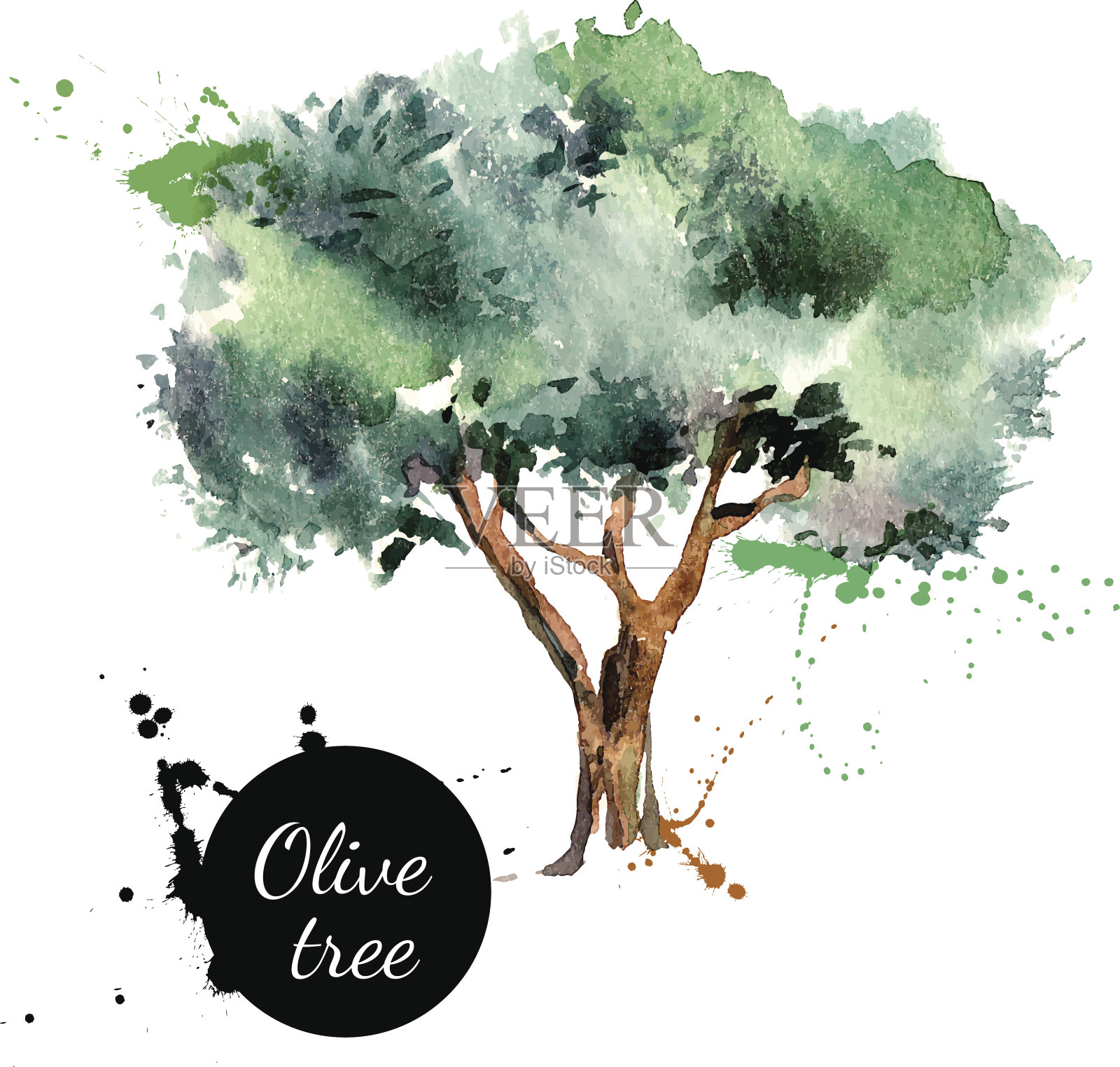 橄榄树矢量插图。手绘水彩画插画图片素材