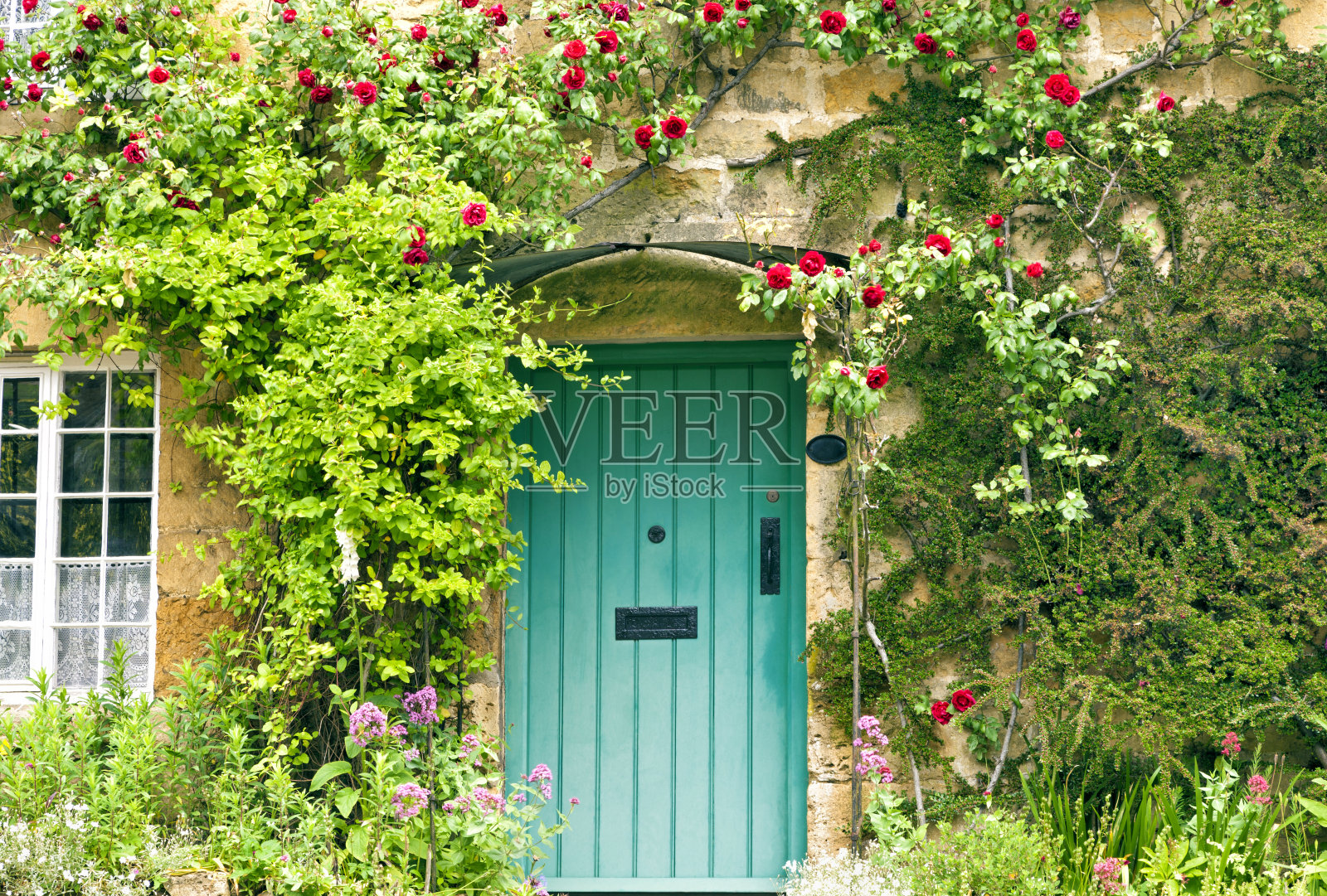 美丽的房子，绿色的门和红色的玫瑰照片摄影图片
