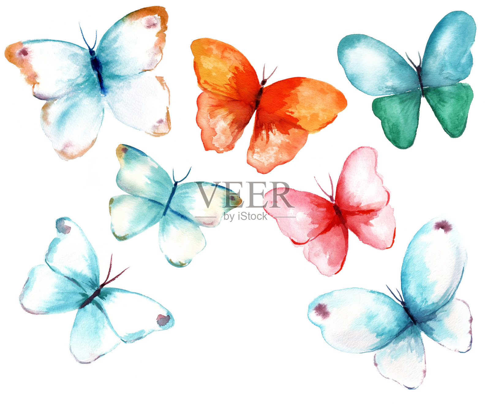 收集水彩蝴蝶在白色的背景插画图片素材