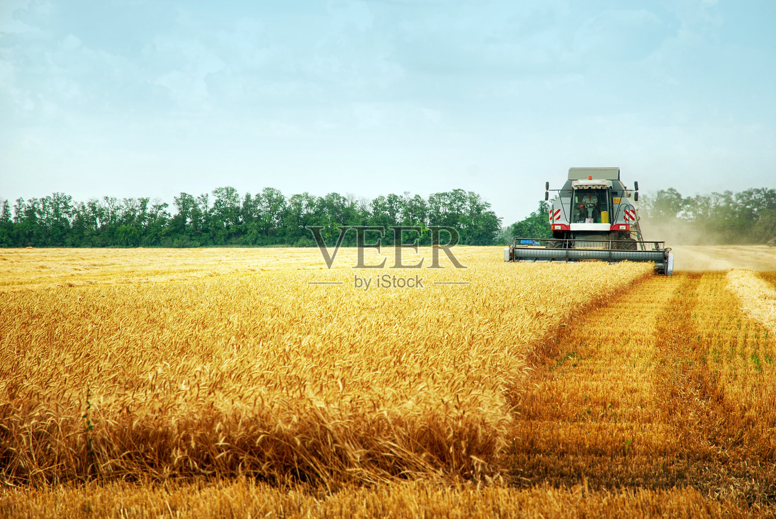 联合收割机在晴朗的夏日收割小麦照片摄影图片