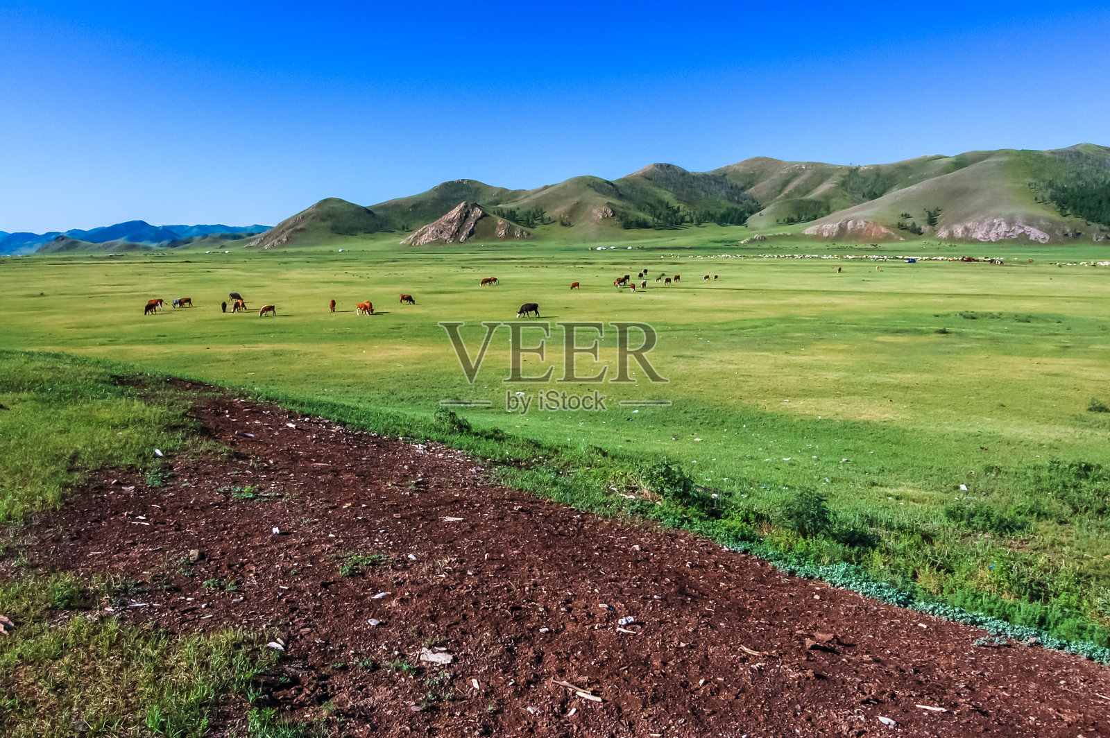 中央蒙古草原照片摄影图片