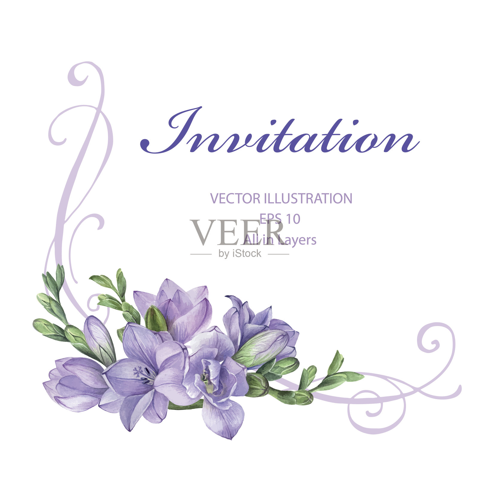 紫色小苍兰花的婚礼请柬框架。设计模板素材
