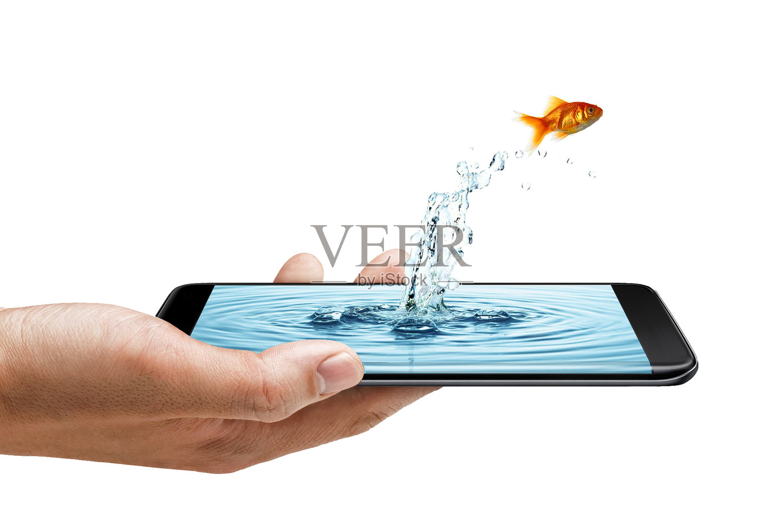 智能手机边缘屏幕-水飞溅和鱼照片摄影图片