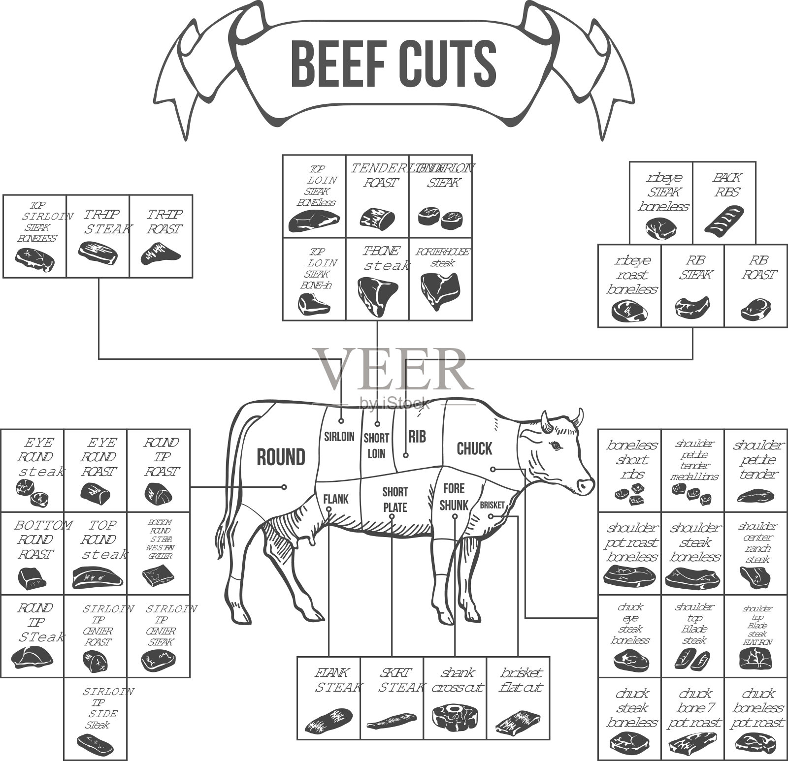 用于牛排和烤肉的牛肉切割方案。向量插画图片素材