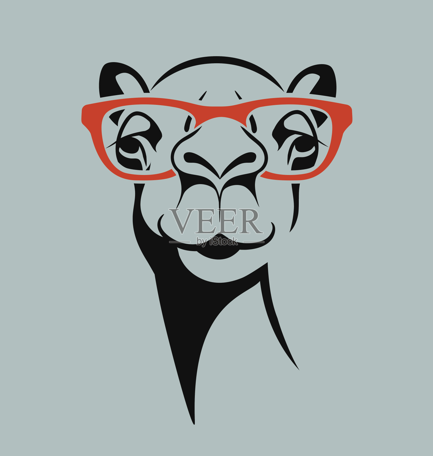 滑稽的骆驼戴眼镜t恤，海报，印刷设计。插画图片素材