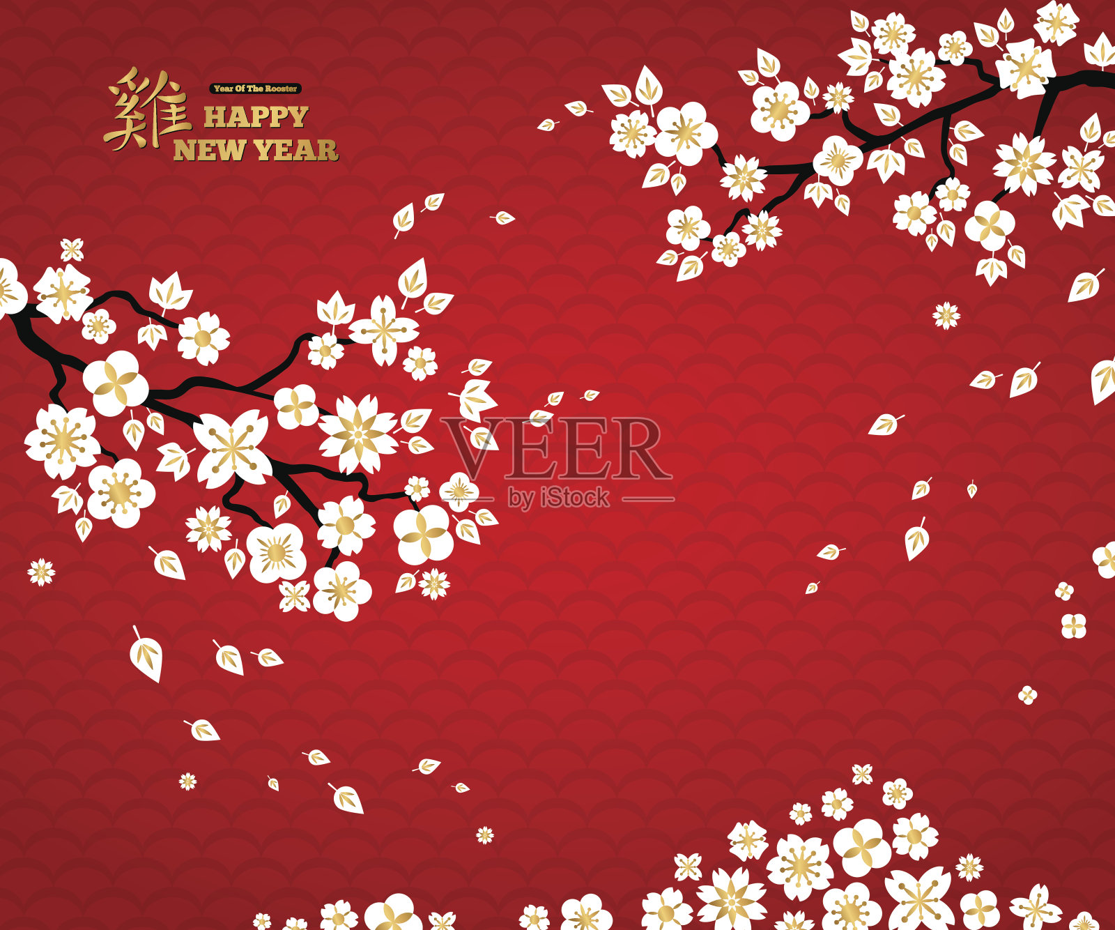 樱花枝，白色的花在红色的背景插画图片素材