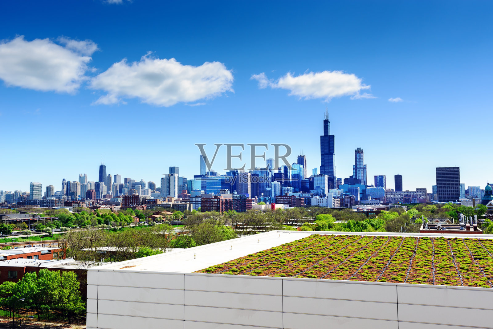 芝加哥的屋顶花园照片摄影图片
