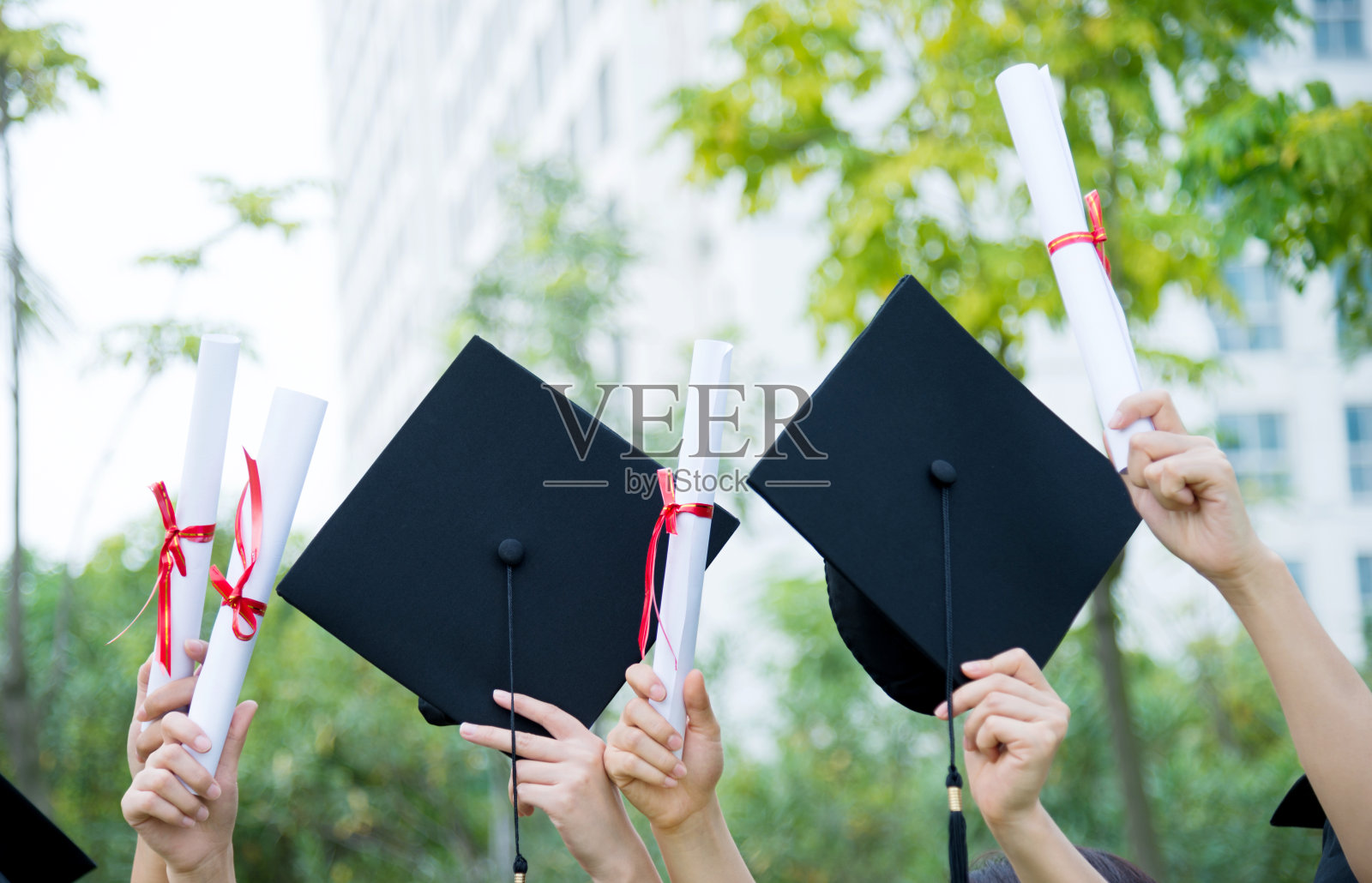 毕业生持有学位证书和学位证书照片摄影图片