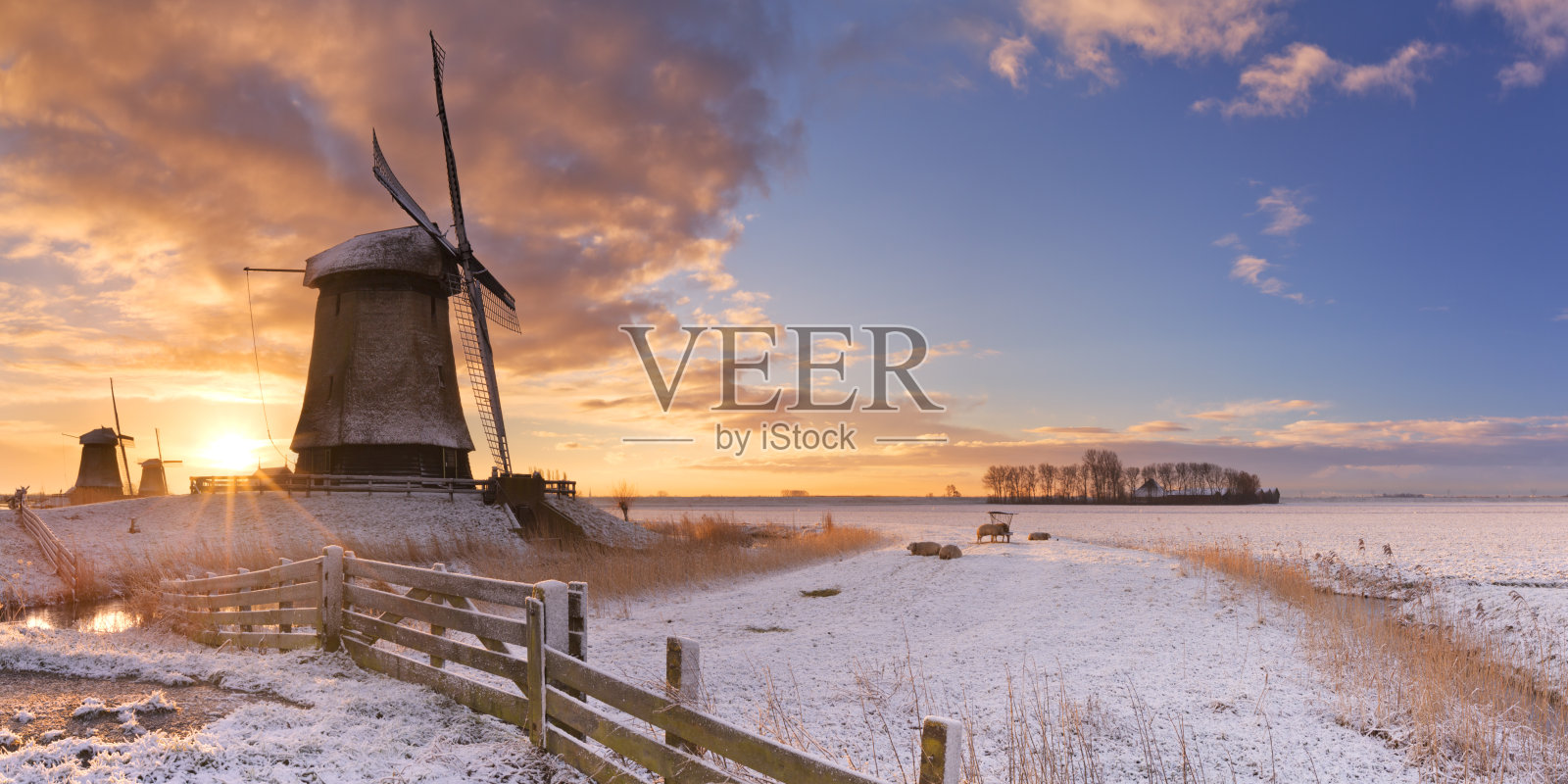 传统的荷兰风车在冬天的日出照片摄影图片