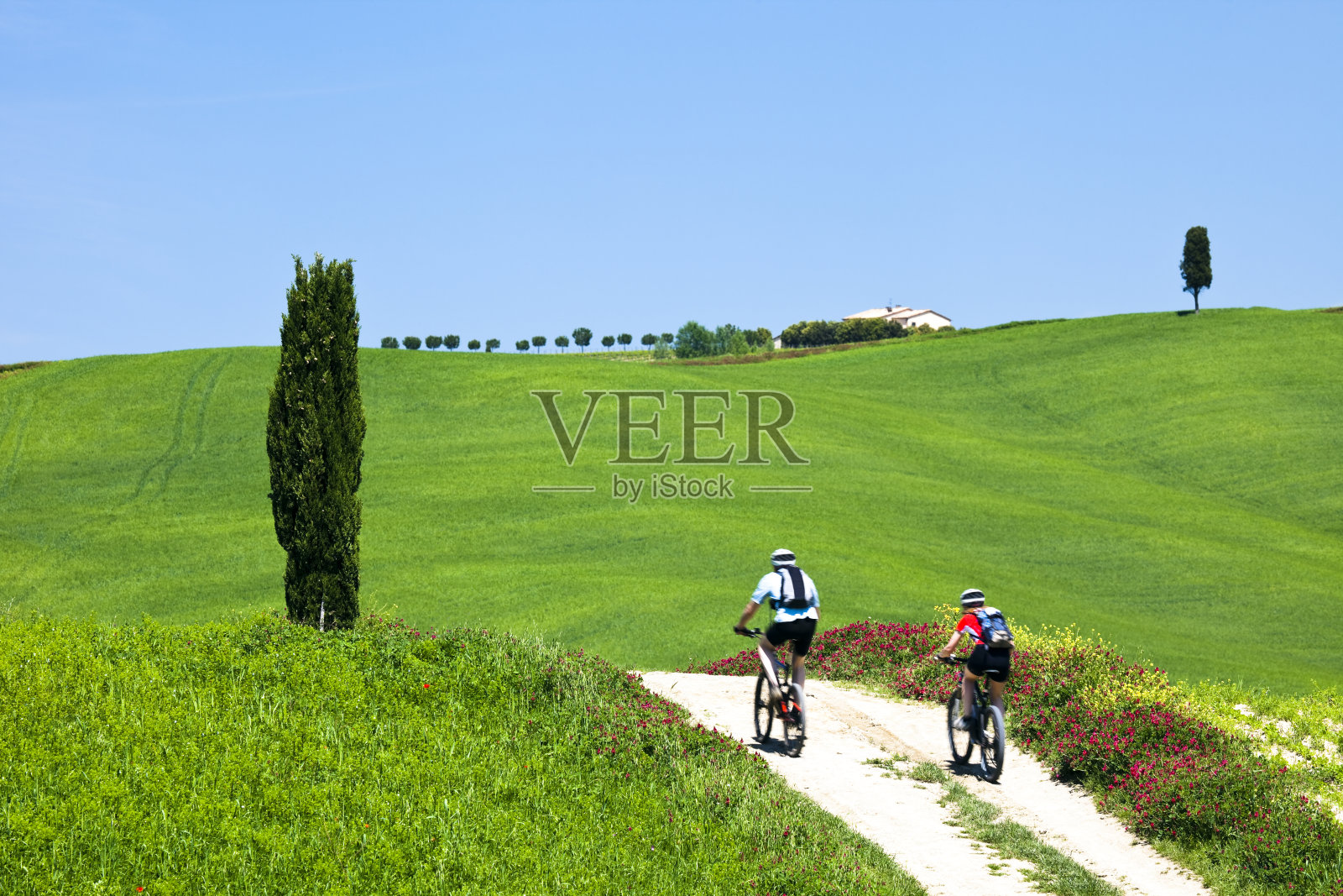 两名山地自行车手在意大利托斯卡纳风景区的乡村公路上照片摄影图片