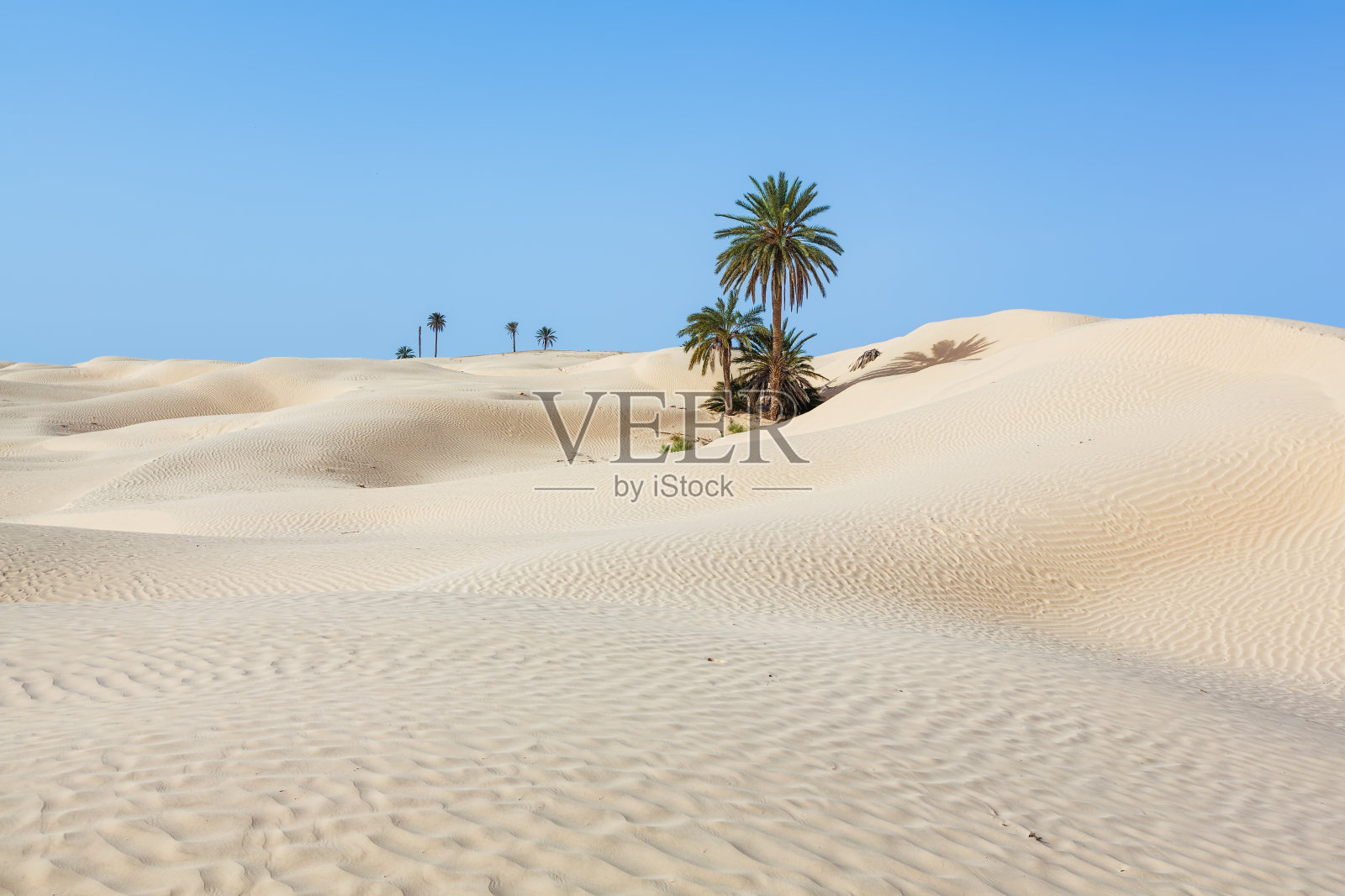 突尼斯/北非杜兹附近的扎夫兰沙丘照片摄影图片