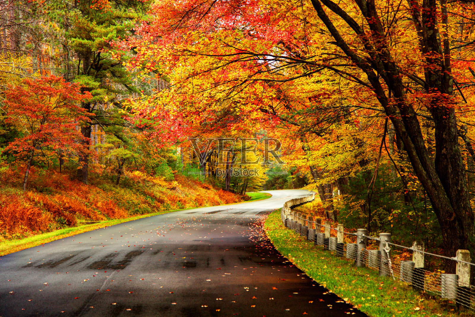 马萨诸塞州夸宾地区的秋天路照片摄影图片