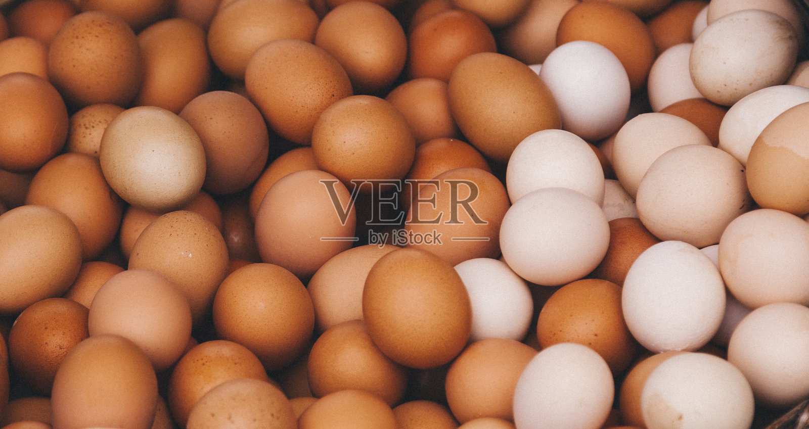 农场新鲜的鸡蛋照片摄影图片