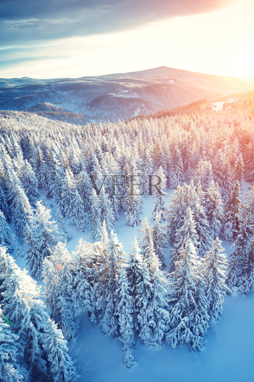 落日雪山，披满雪的树木桌面壁纸-壁纸图片大全