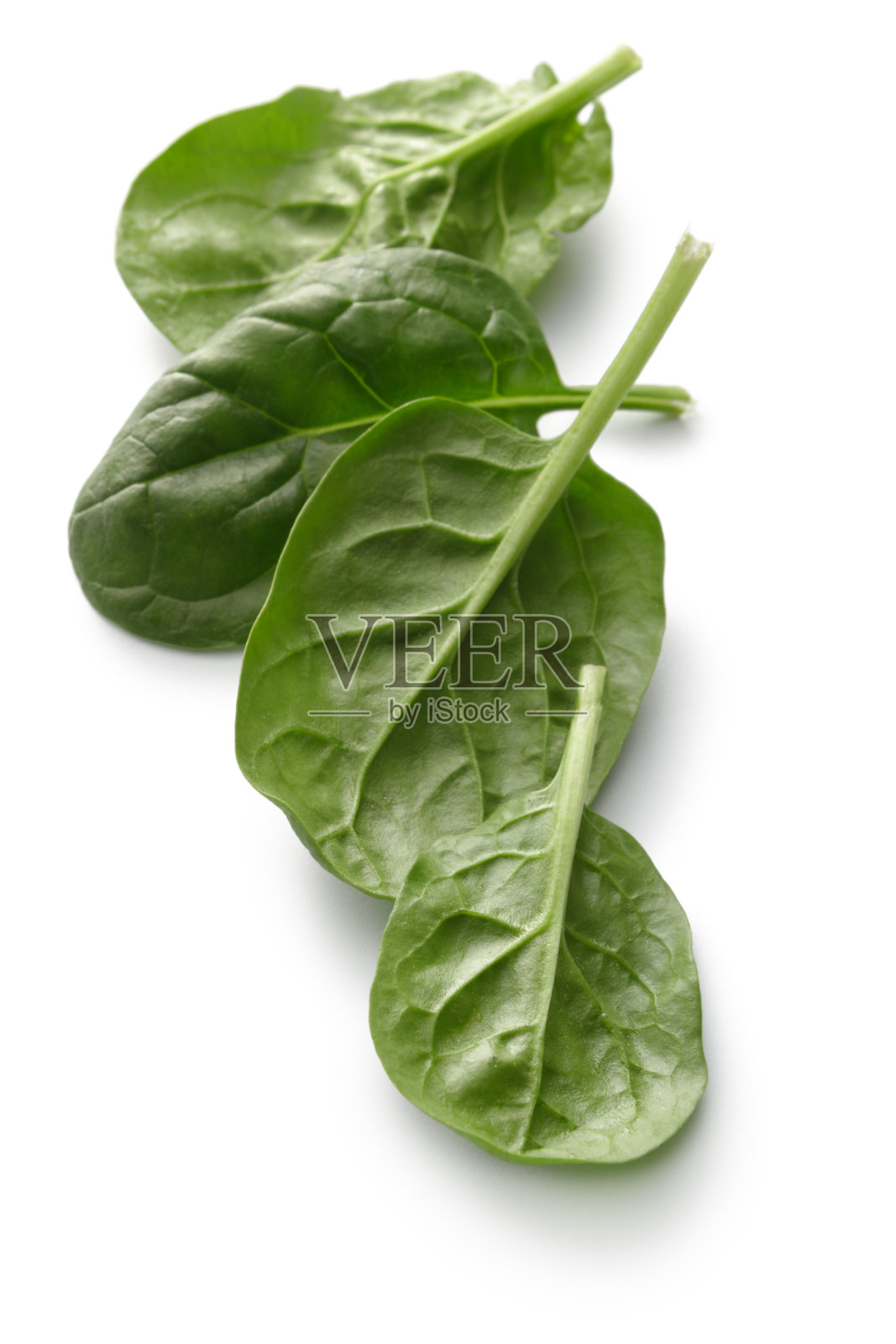 蔬菜:白色背景上孤立的菠菜照片摄影图片
