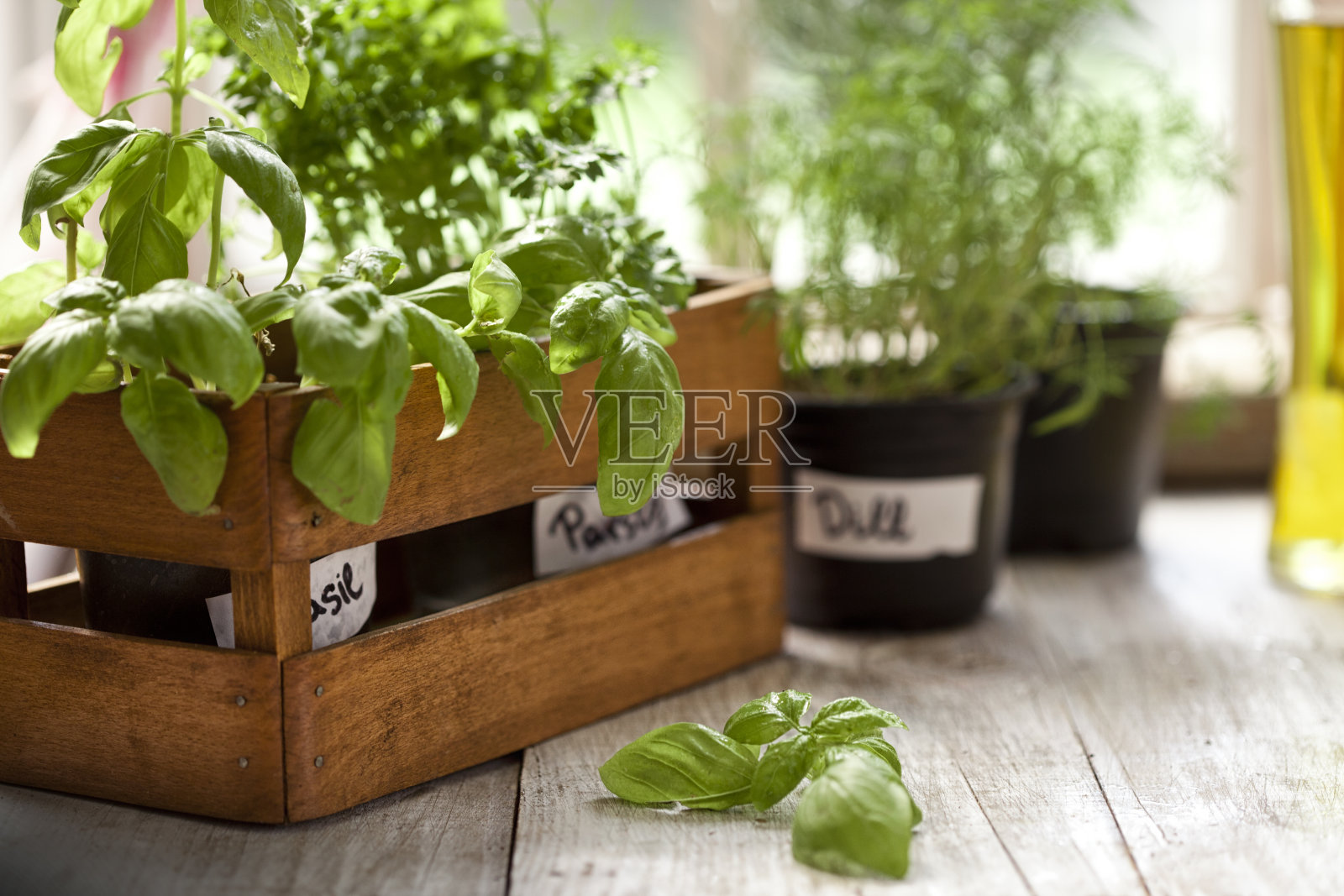 室内香草花园，窗台盆栽容器植物照片摄影图片