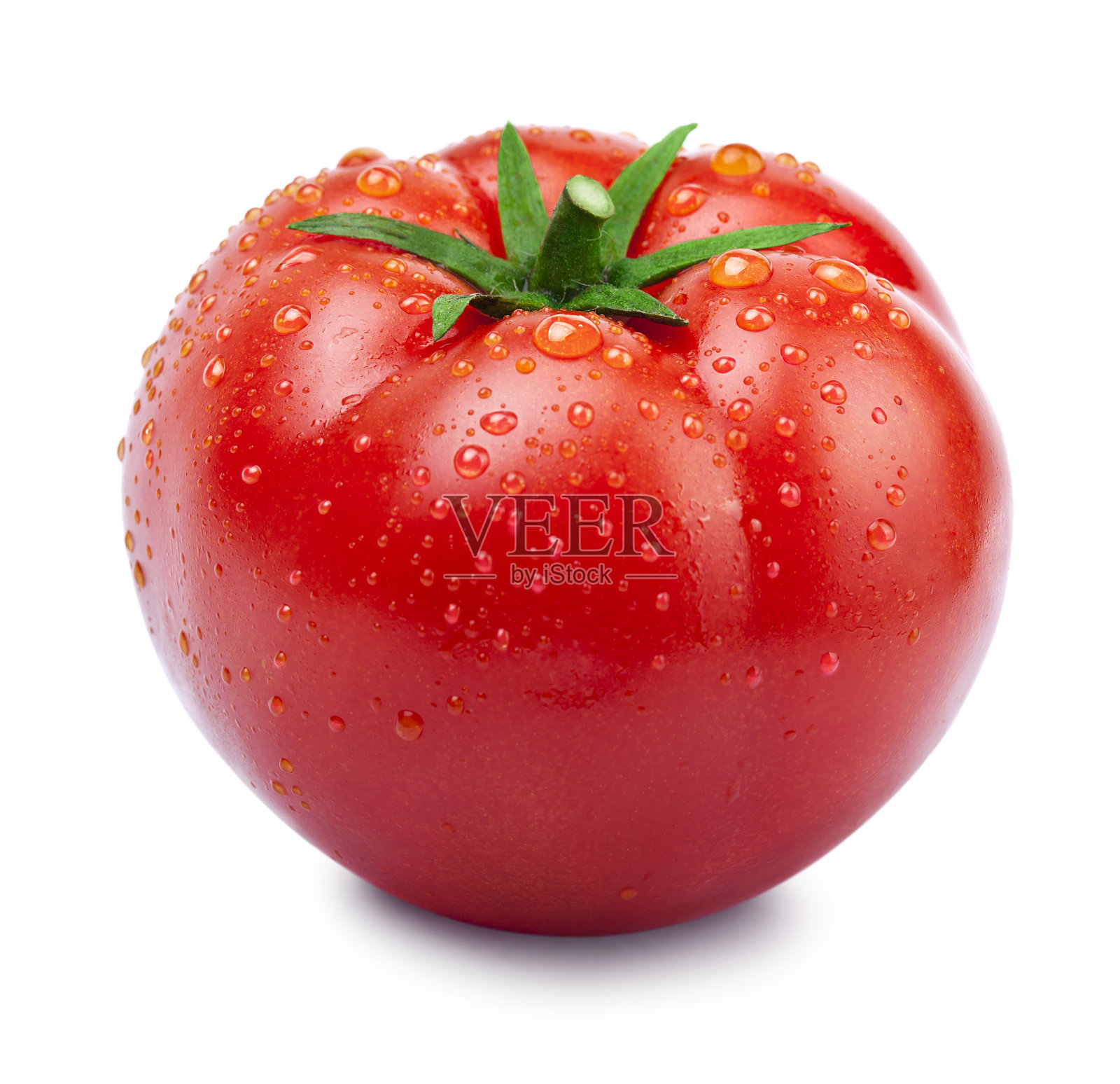湿有机熟蕃茄对白色照片摄影图片