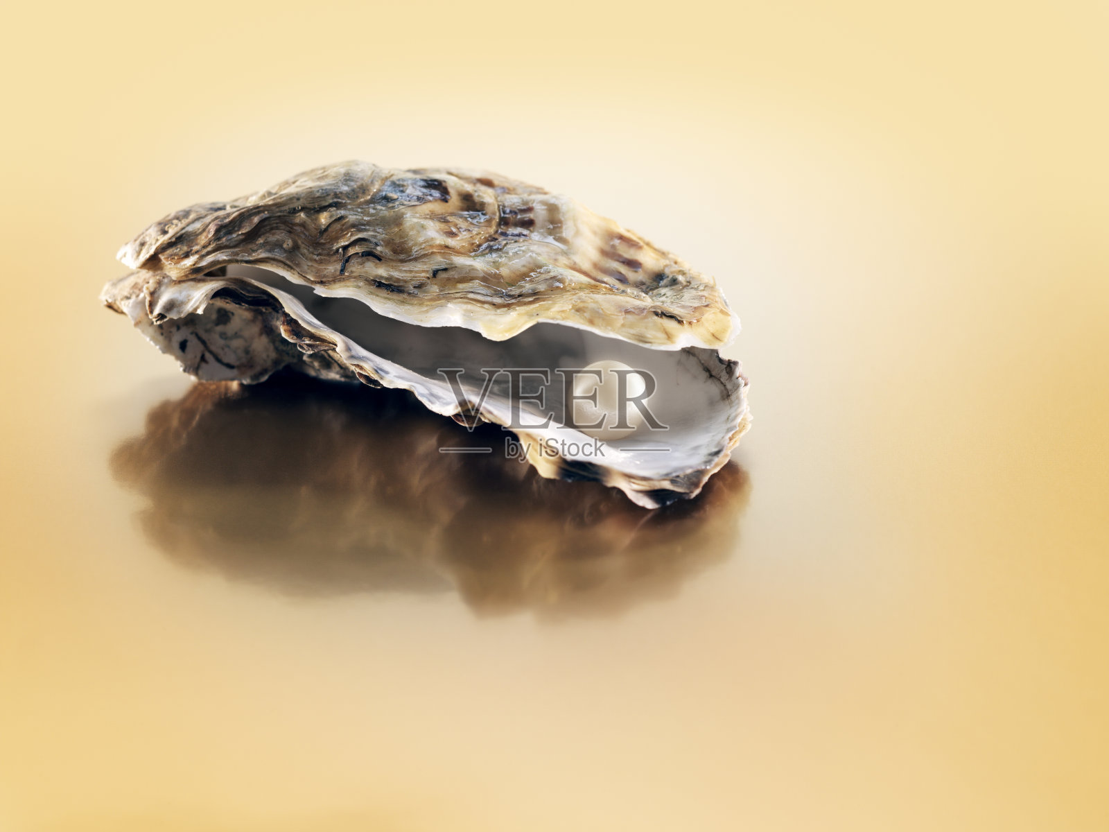 微微张开的牡蛎，里面有珍珠照片摄影图片